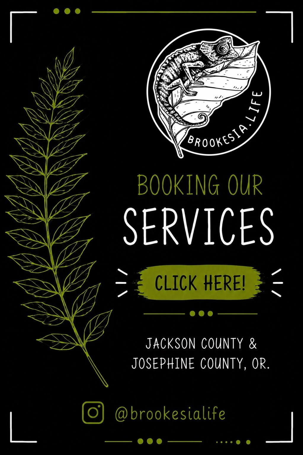 Booking a Service