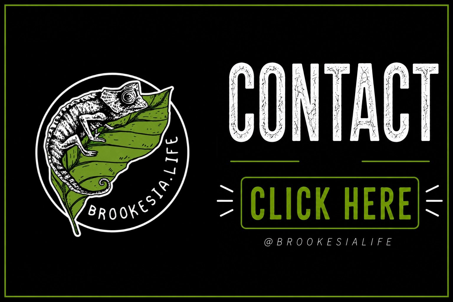 Contact