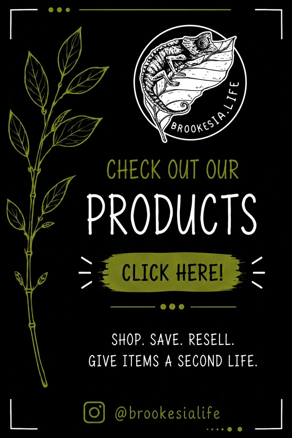 Products