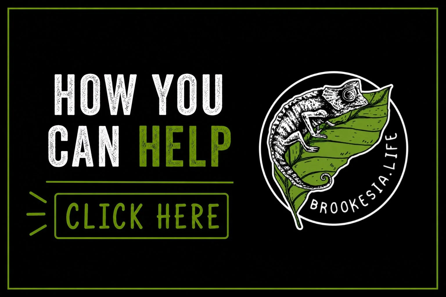 How you can help