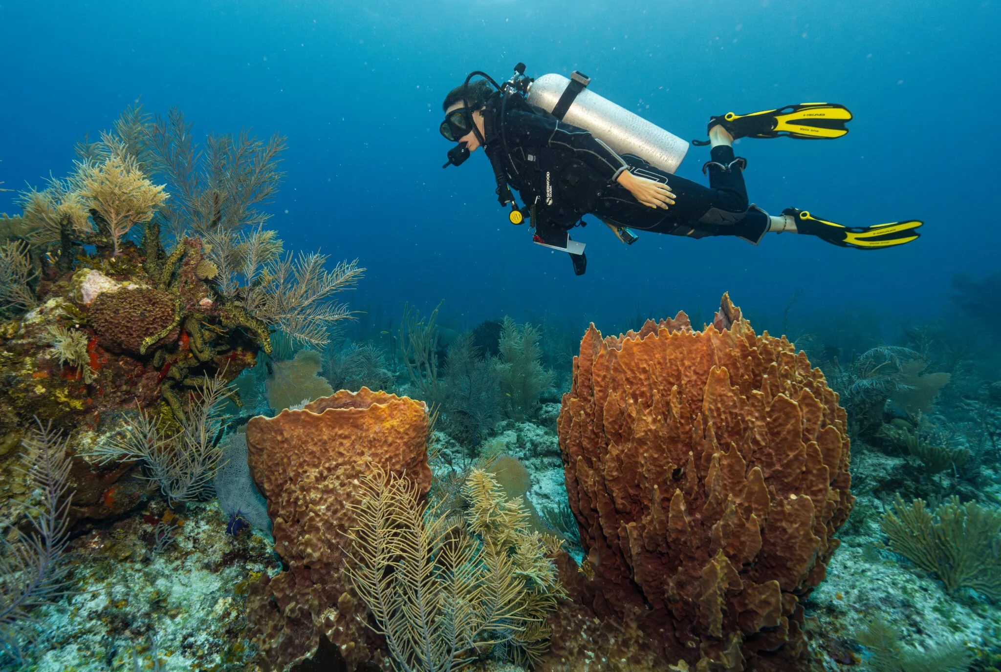 Belize Tourism