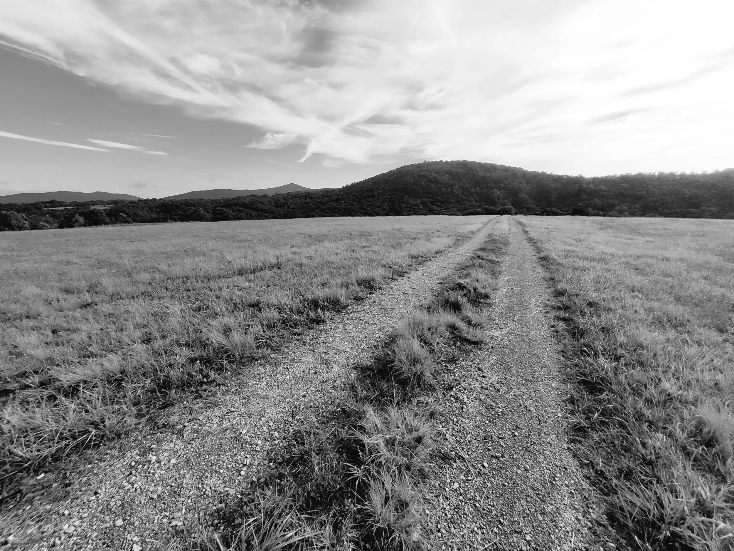 Black and white landscape with a dirt path through grassy fields leading towards distant hills and mountains under a partly cloudy sky.