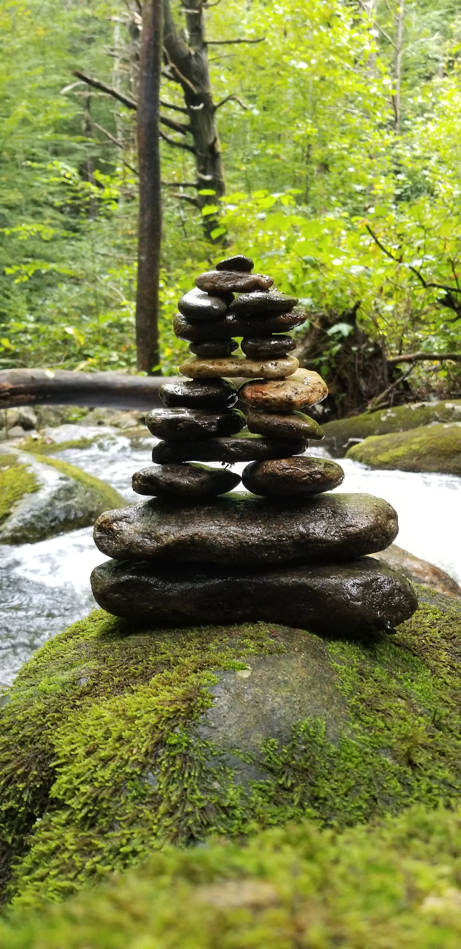 Cairn Stacked smooth dark stones on moss-covered rock in a woodland stream with green foliage.