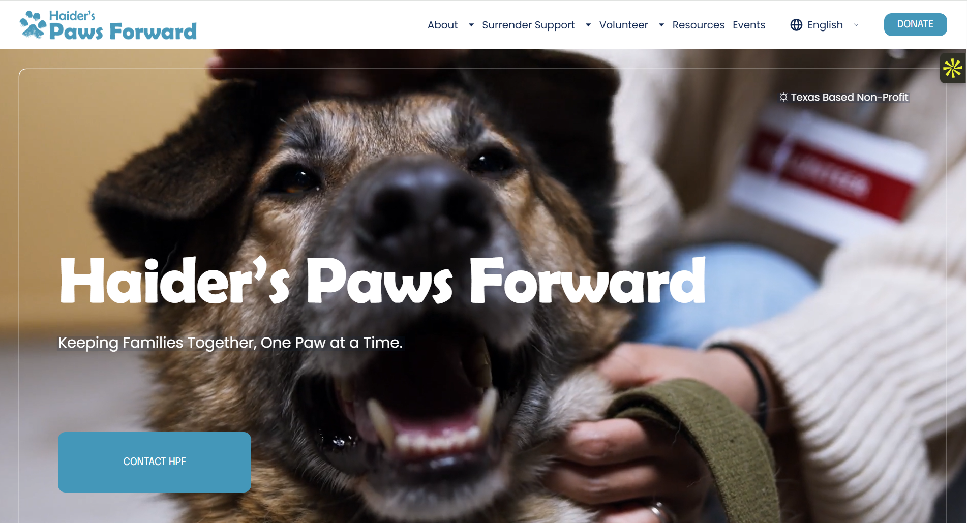 Haider's Paws Forward