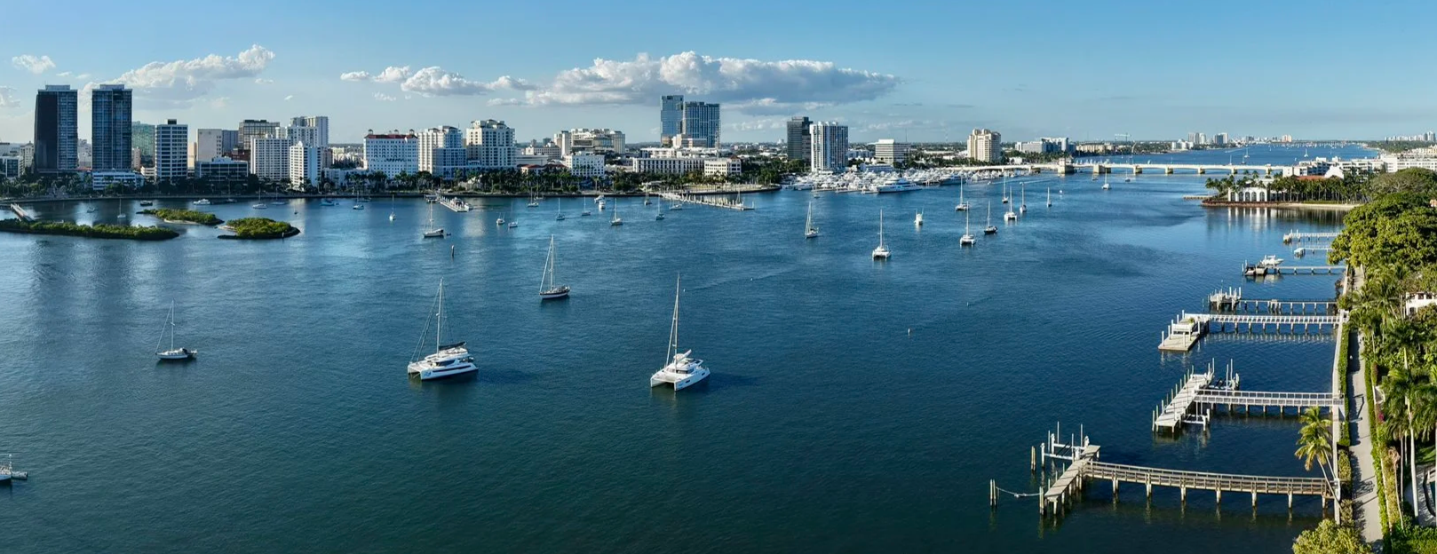 A harbor with sailboats and yachts, with a city skyline of tall buildings and a bridge in the background.