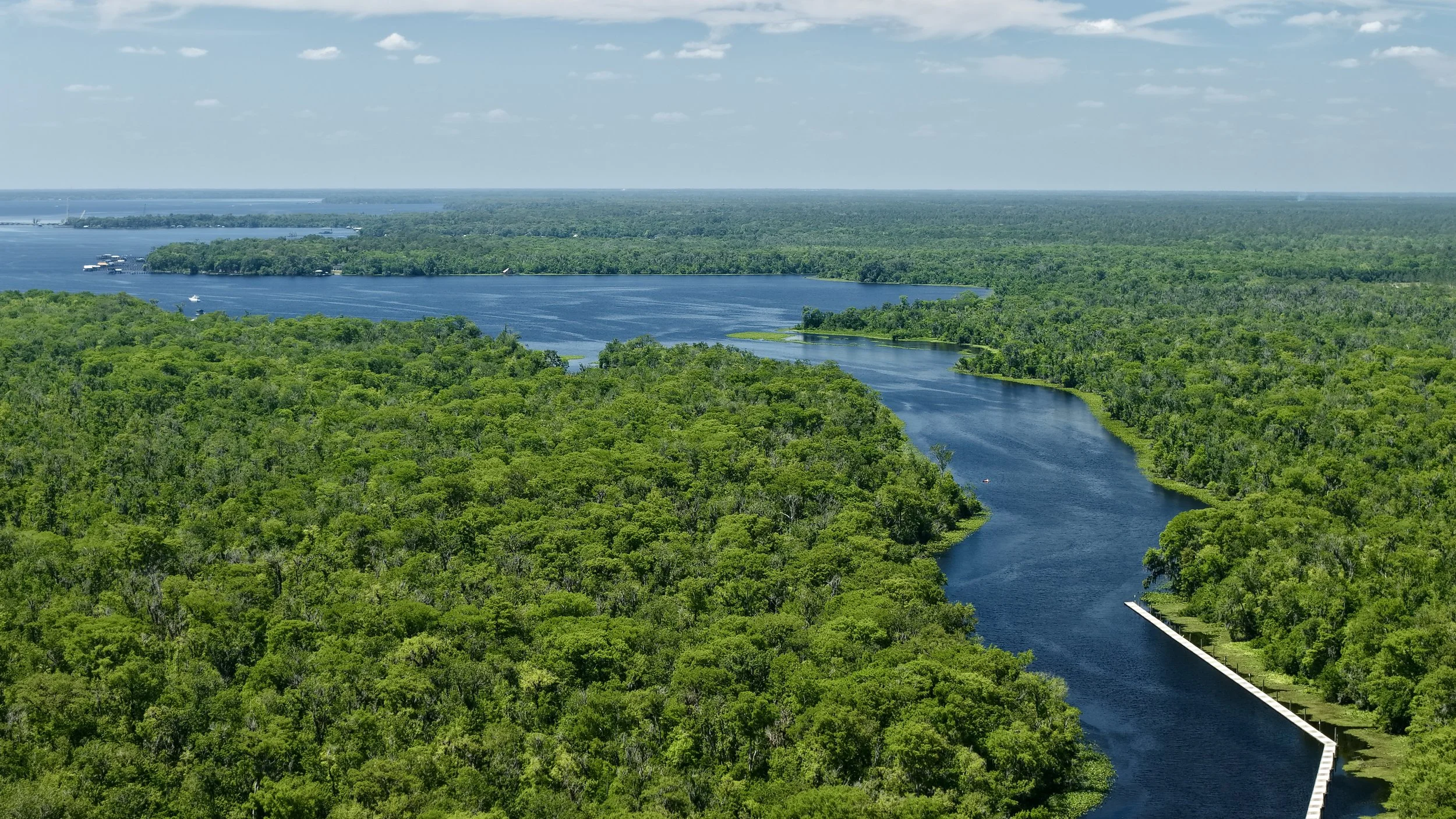 Aerial view of a green forest surrounding a winding river with a dock on the right side, under a bright blue sky with scattered clouds.