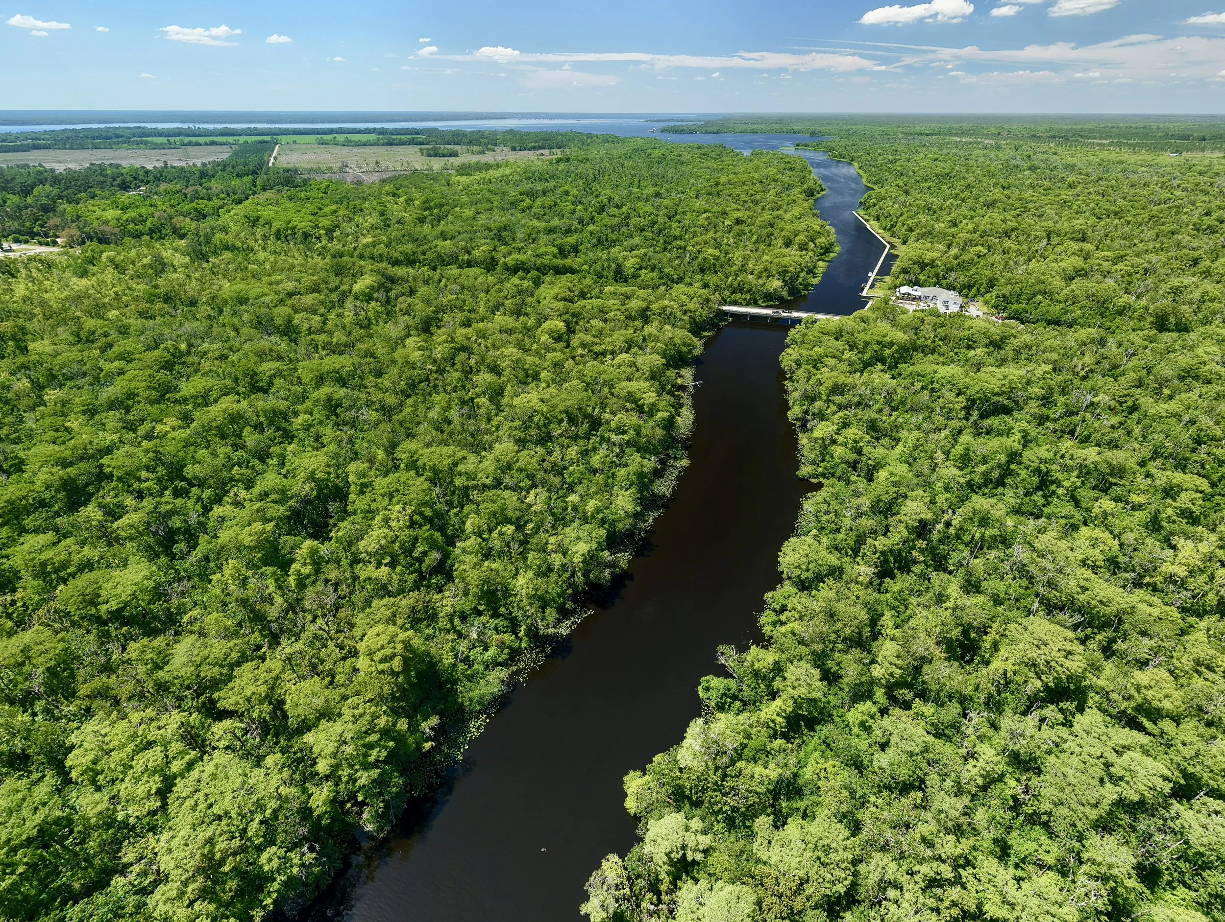 Aerial view of a river winding through lush green forest with a bridge crossing it, and buildings near the water, under a partly cloudy sky.