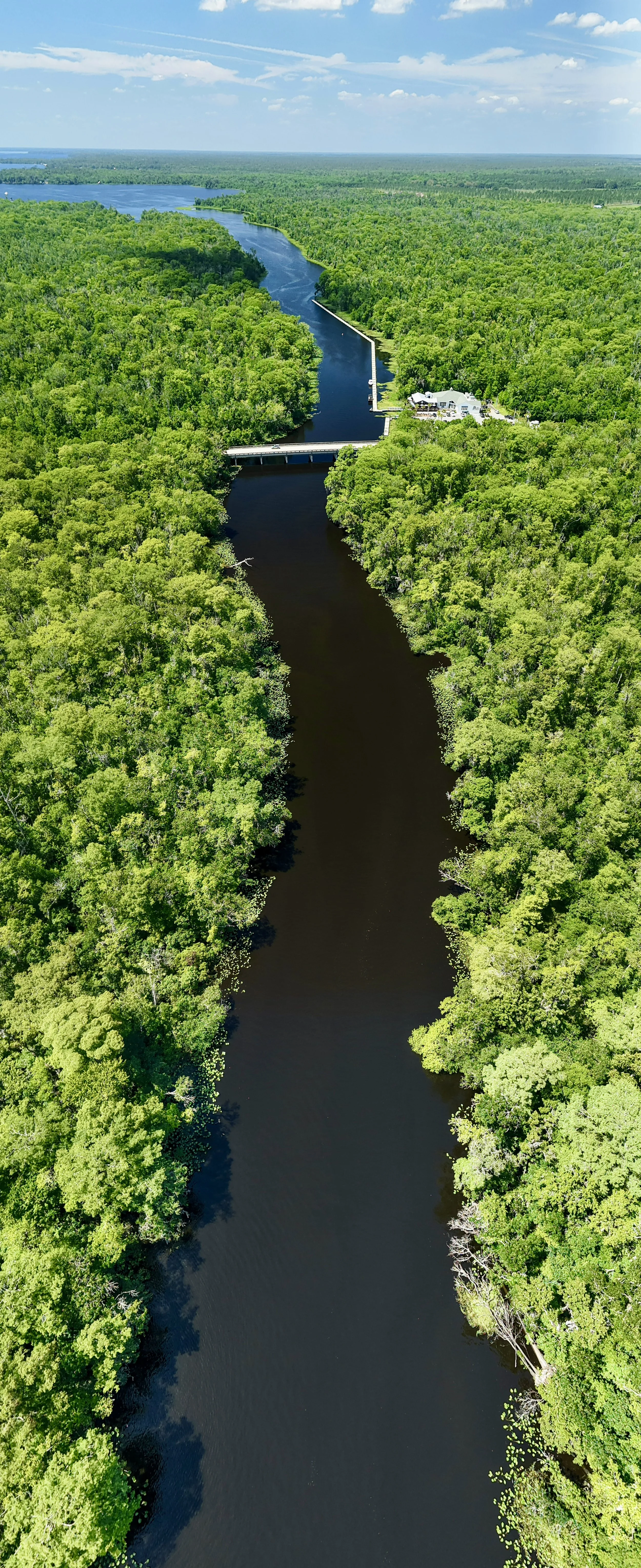 Aerial view of a river winding through a dense green forest with a bridge crossing over the river and a house near the bridge, under a blue sky with scattered clouds.