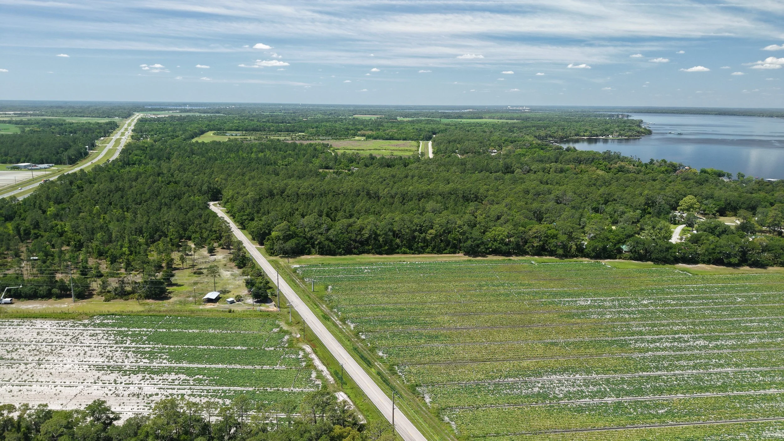 Aerial view of rural landscape featuring fields, a road, dense green forest, and a large river or lake in the background, with partly cloudy sky.