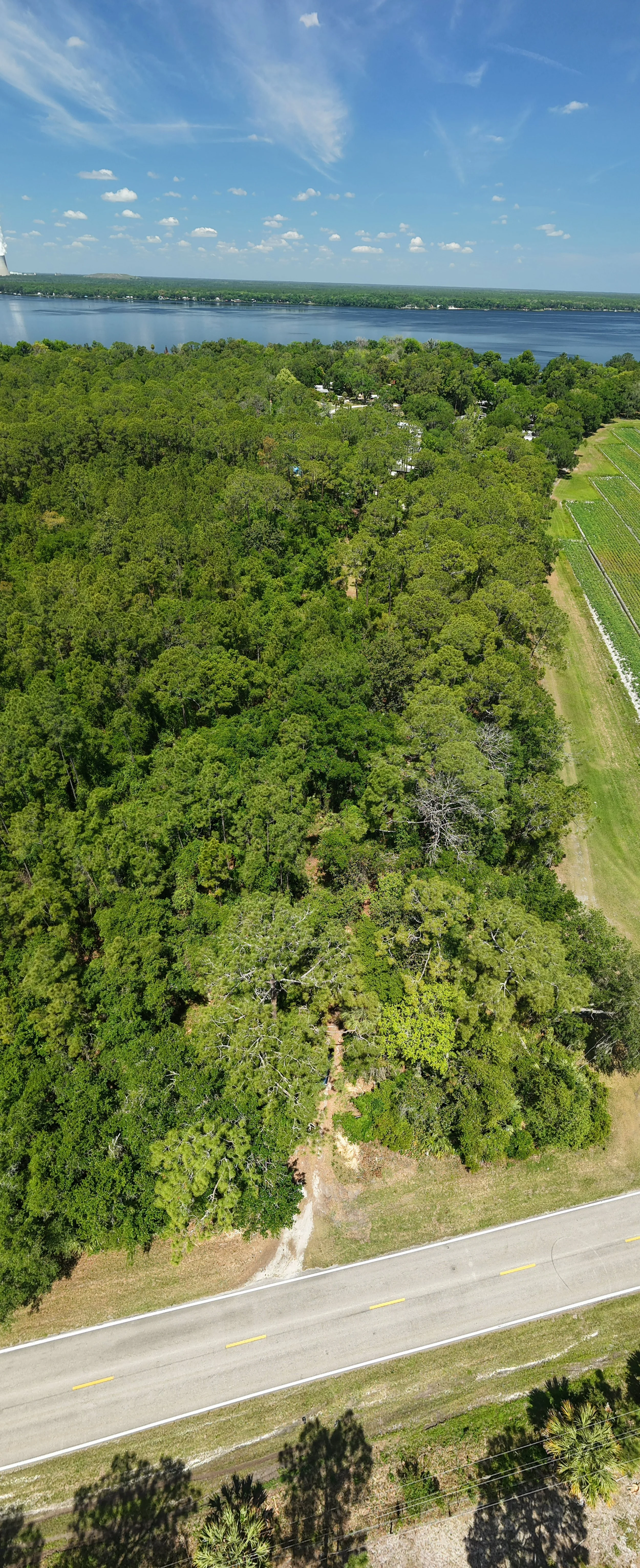 An aerial view of a landscape featuring a large river in the background, dense green trees in the foreground, a paved road, and some palm trees near the bottom.