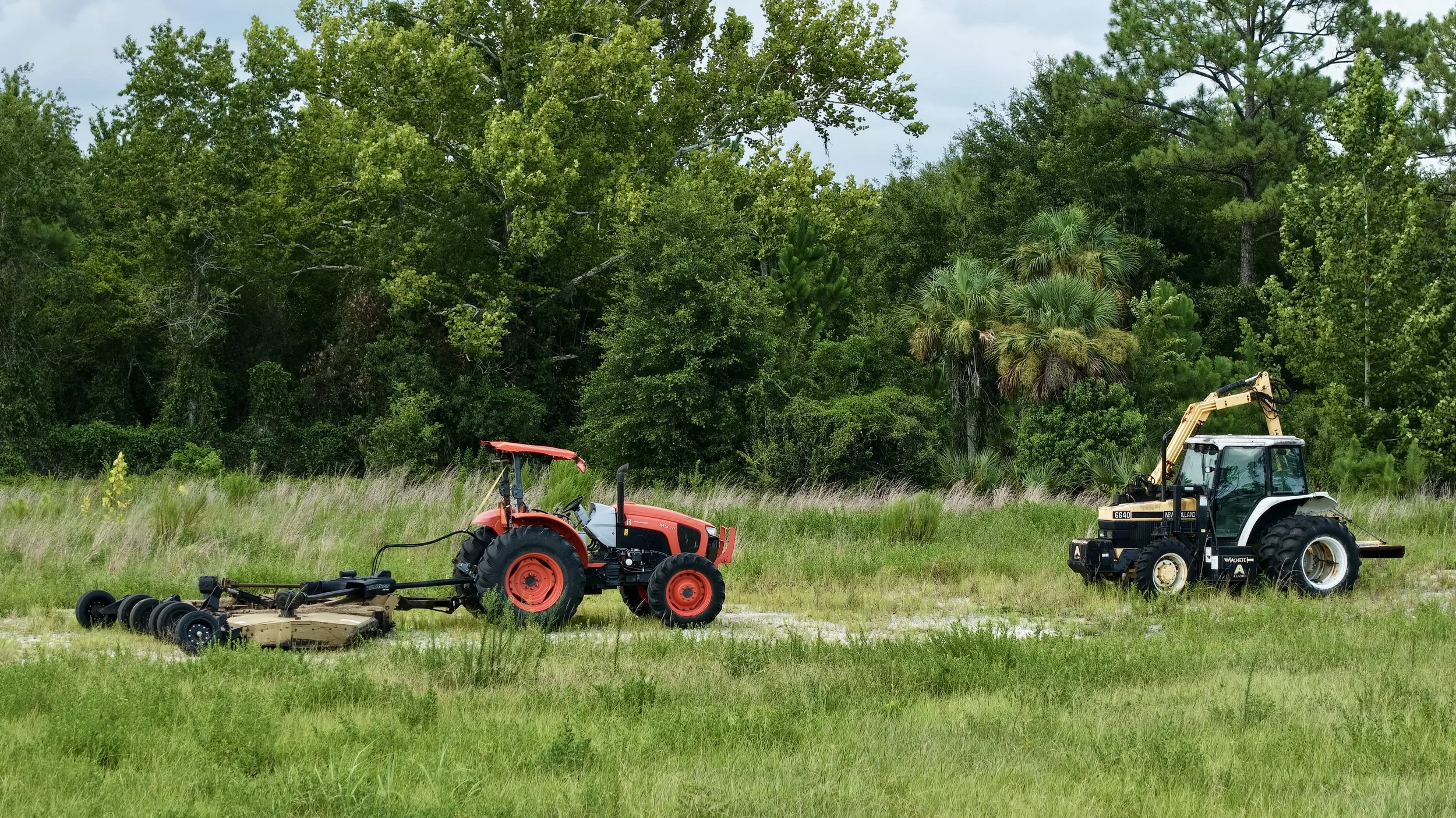 DJI_20260731154952_0589_D.JPG