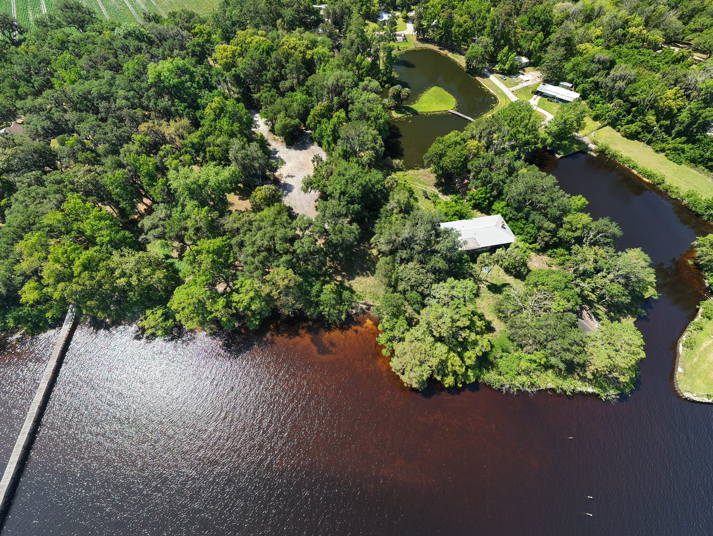 An aerial view of a lush, green forest surrounding a small body of water with a bridge crossing it, and a few houses and pathways visible within the trees.