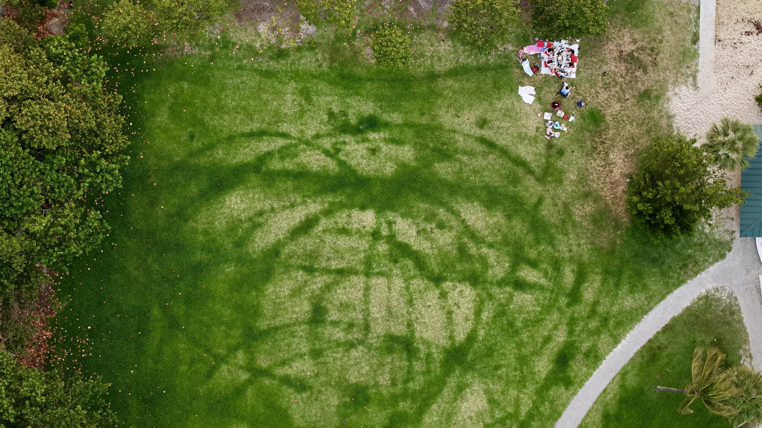 An aerial view of a park with green grass, trees, and a small group of people sitting around tables with umbrellas on the right side.