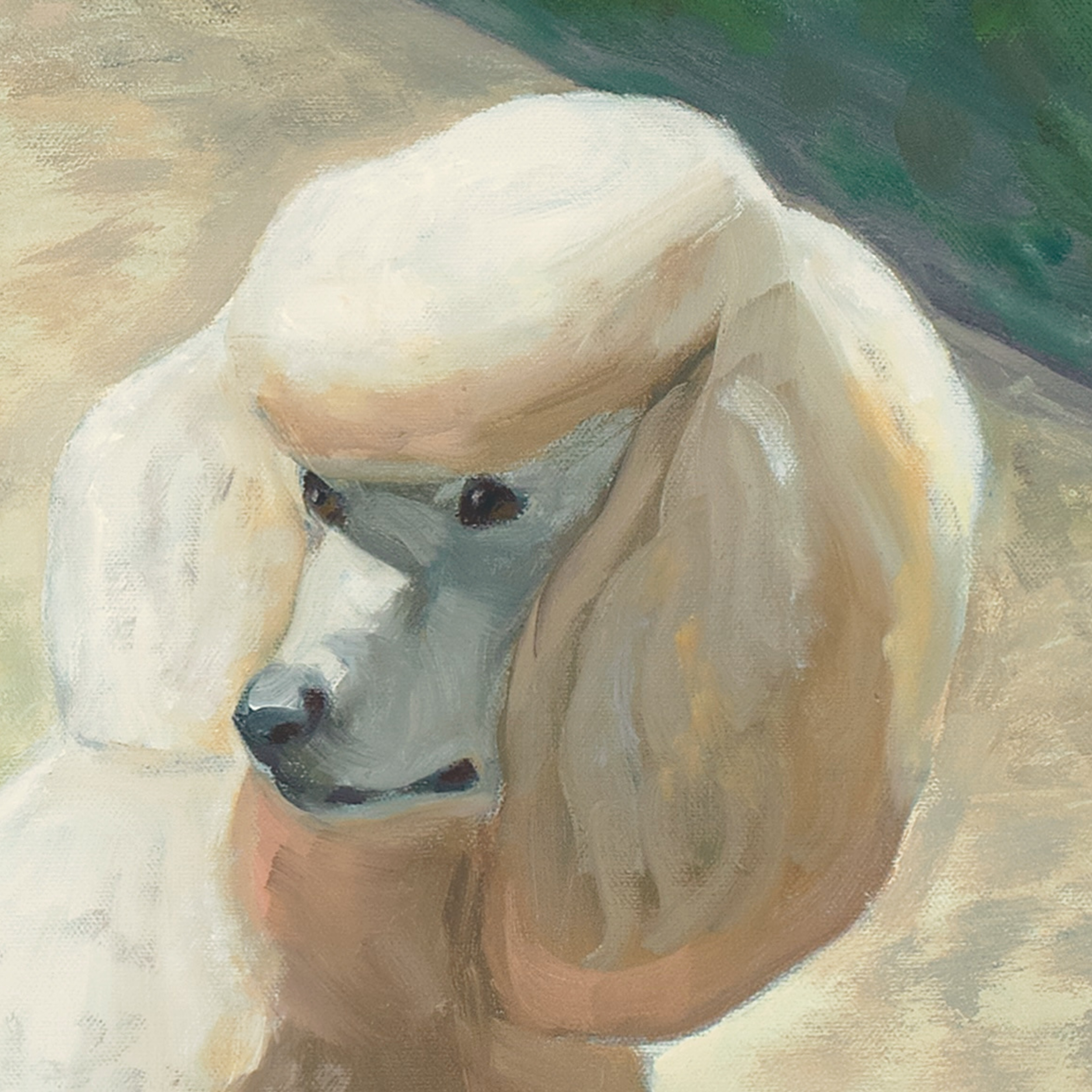 Portrait with Standard Poodles • Surface Detail
