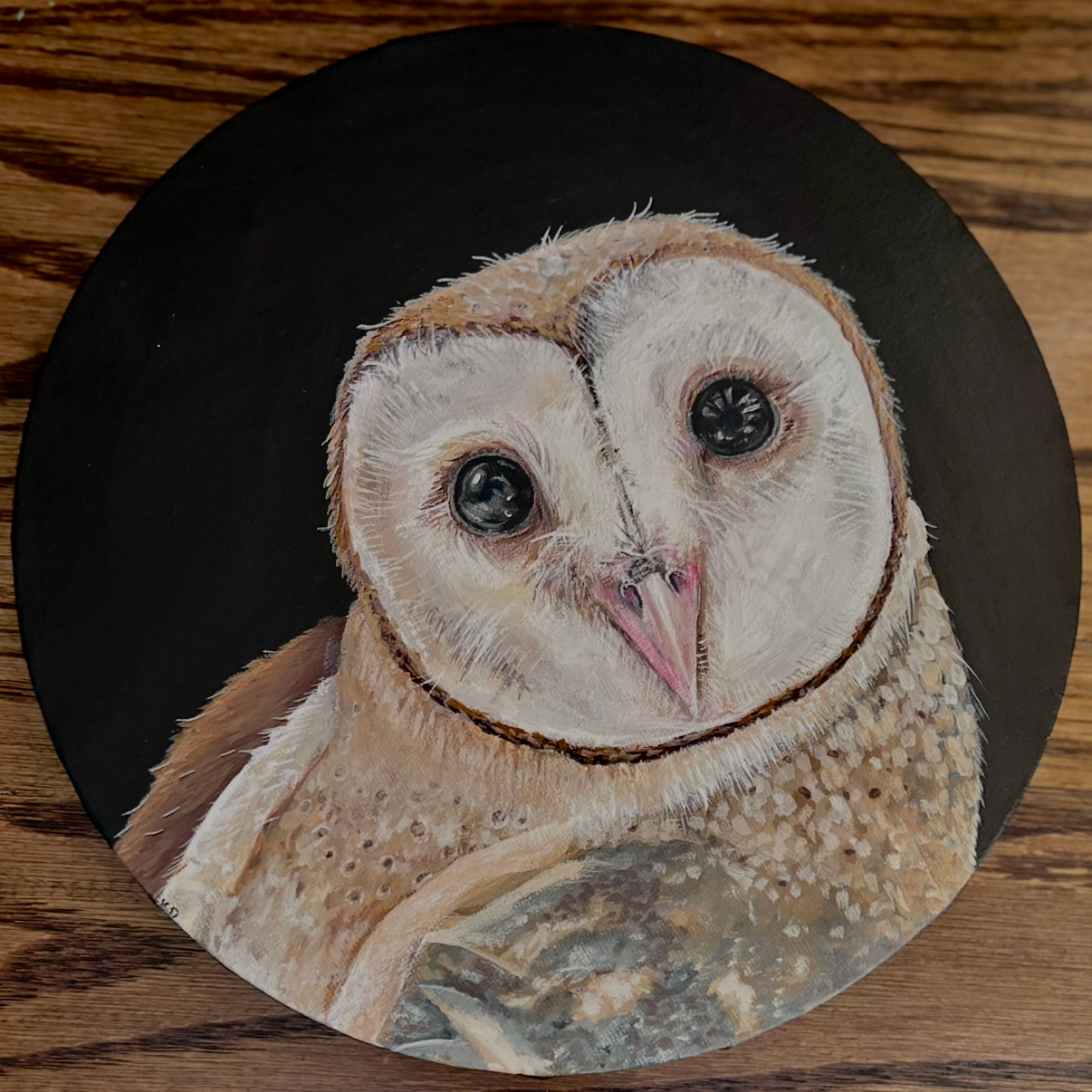 Silent witness 
Barn owls have long been symbols of observation, intuition, and quiet persistance. This portrait focuses on the owls direct gaze, inviting you into a moment of stillness and attention. Through careful observation and layered detail, t