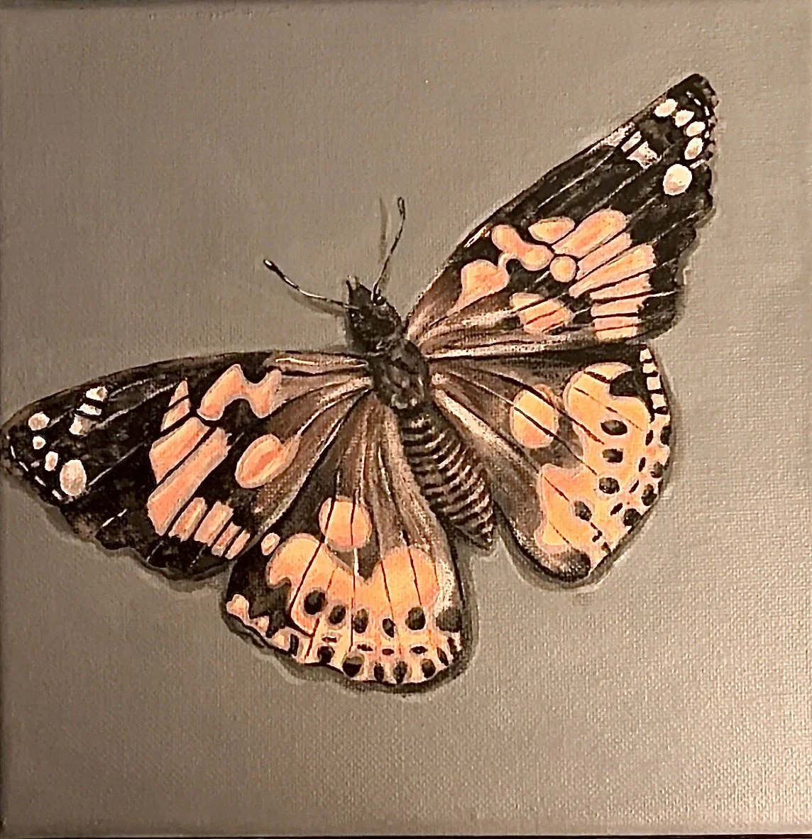 What Remains.
This painting was created from a butterfly preserved during a celebration of life. Spending time studying and painting it became an act of appreciation, both for the butterfly itself and for the life that brought it into my hands. 