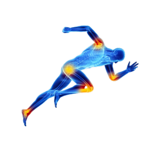 A digital illustration of a running athlete with highlighted joints and muscles, indicating movement and physical activity.