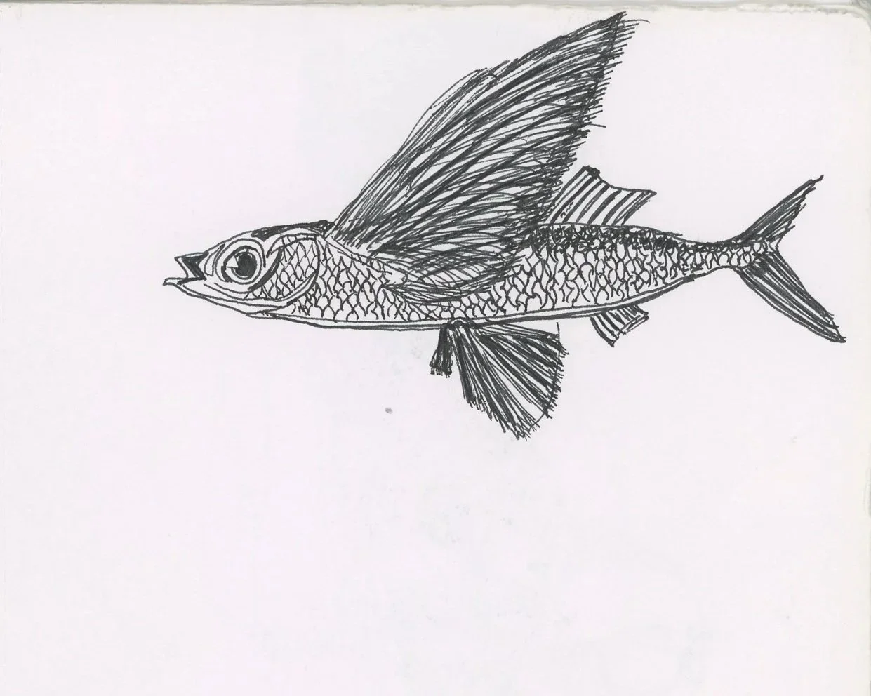 img021.jpg