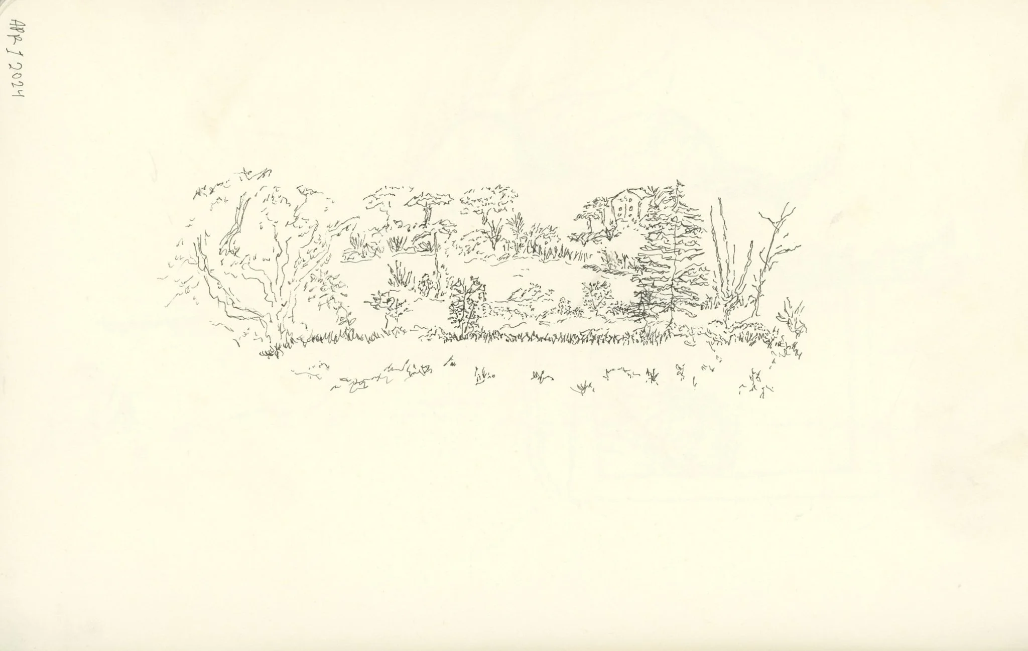 img089 - Copy.jpg