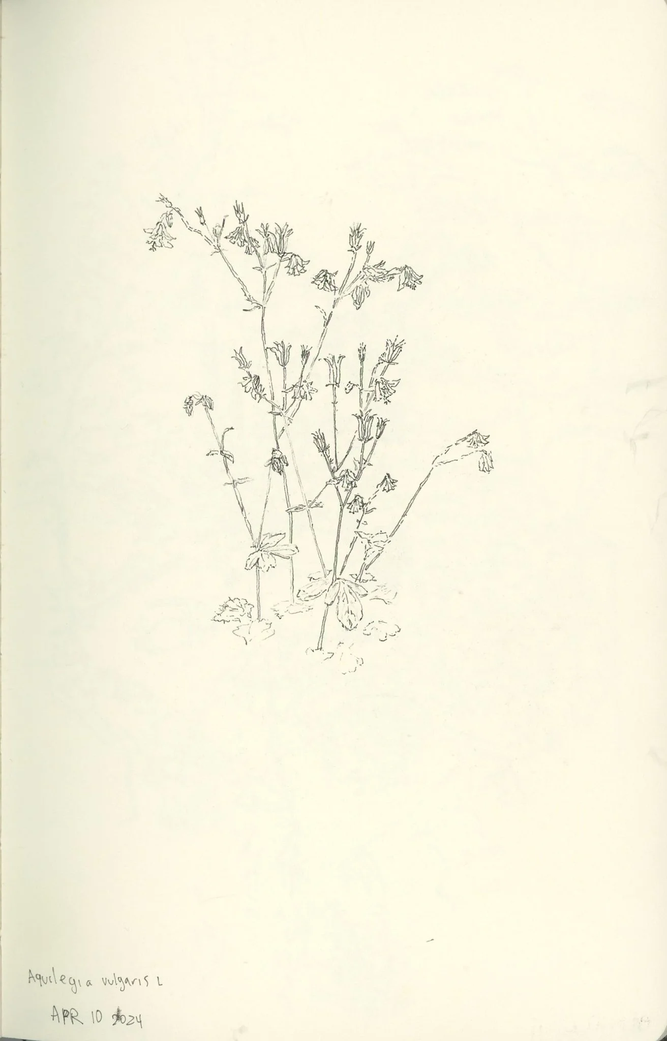 img094.jpg