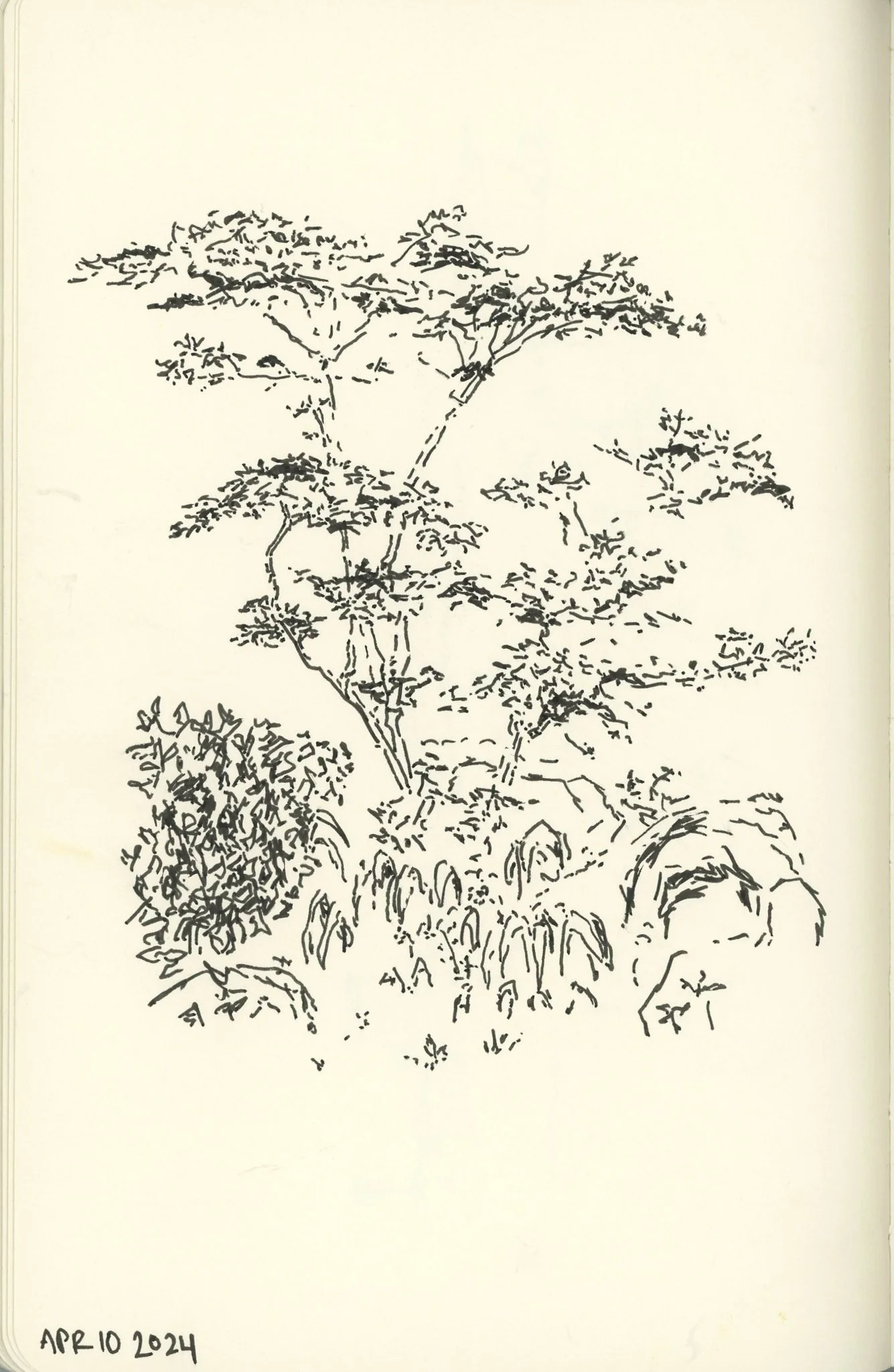 img094 - Copy.jpg