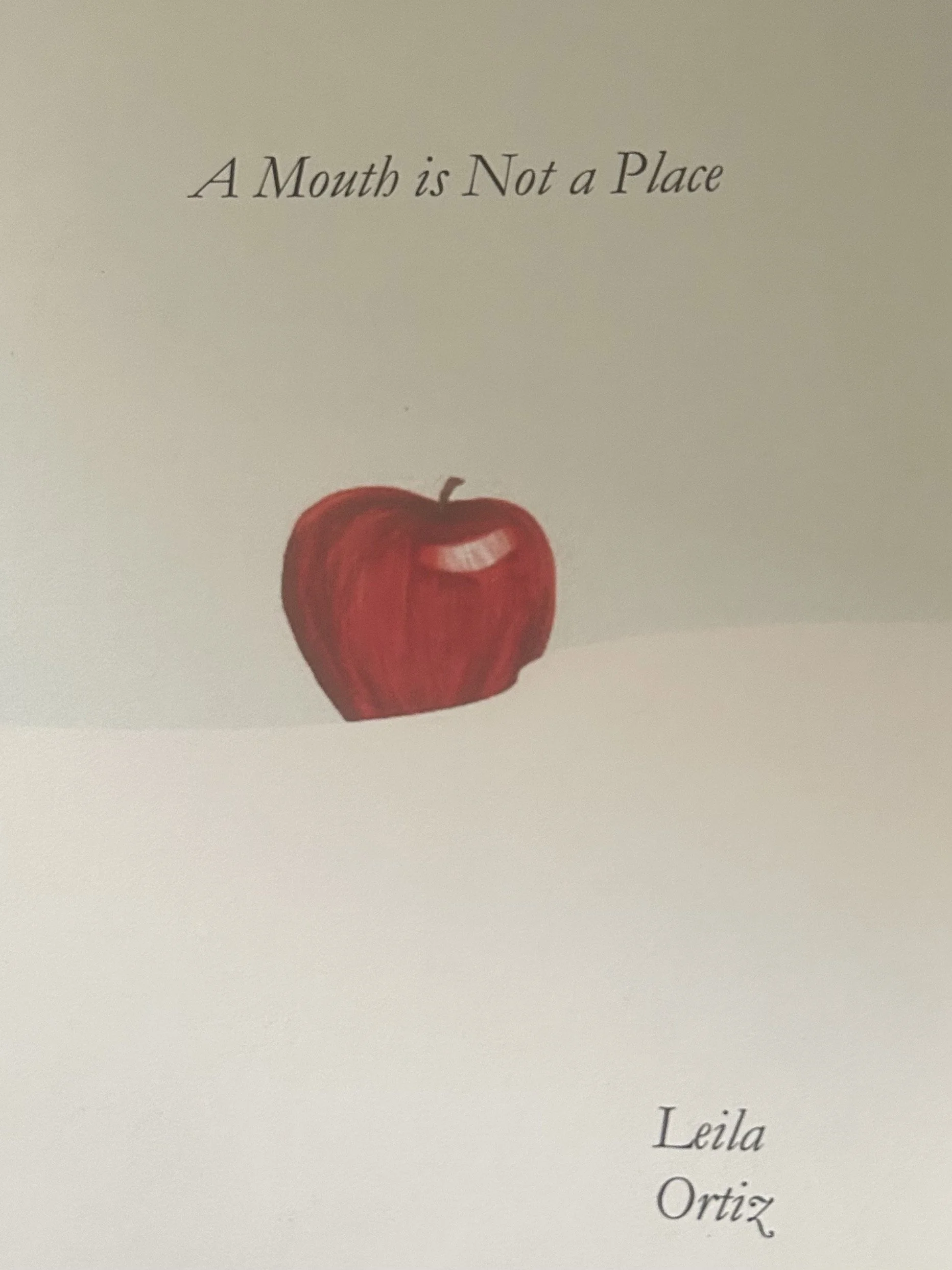 A Mouth is not a Place Chapbook by Leila Quinn Ortiz