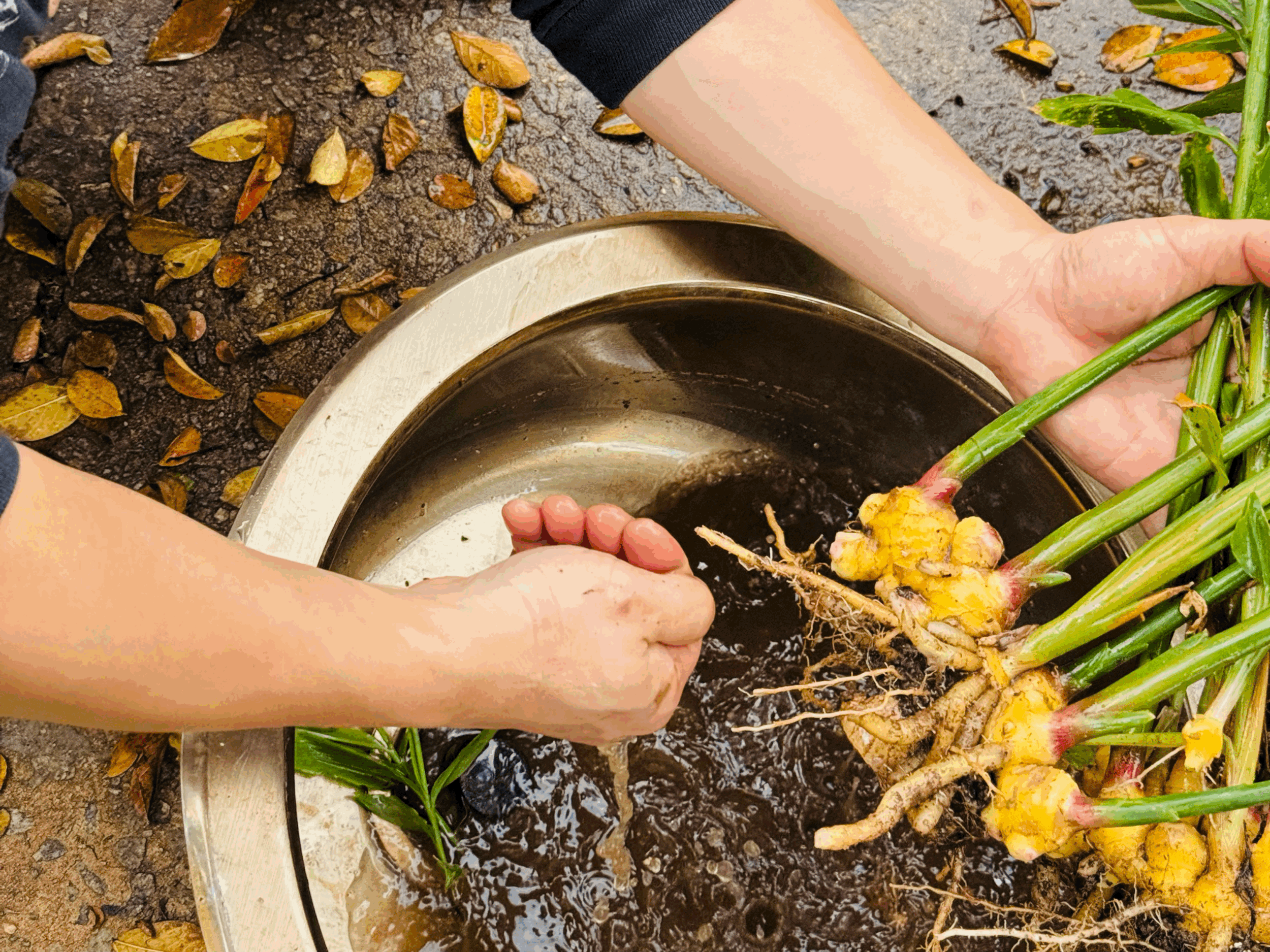 URBAN SUSTAINABILITY 101