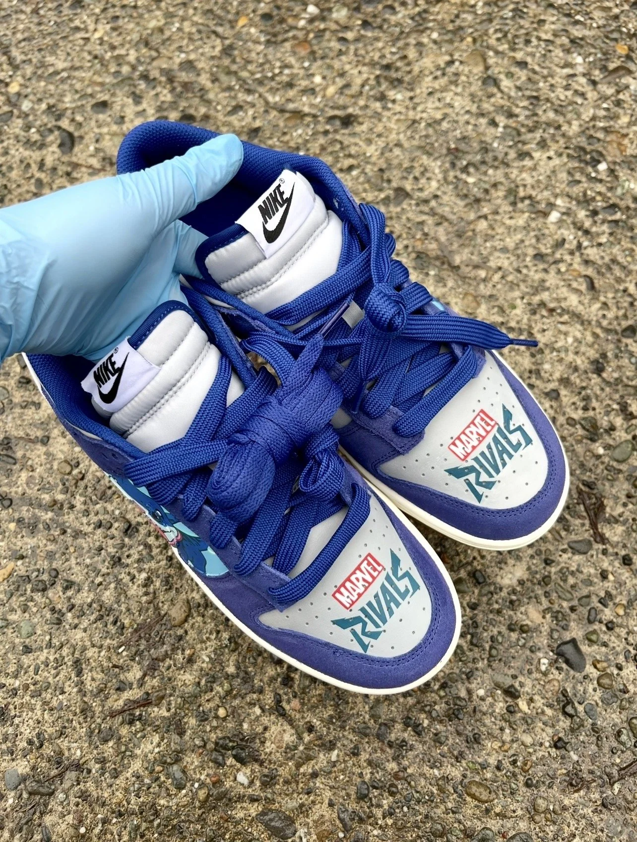 Jeff's Adventure Custom Dunk Top View