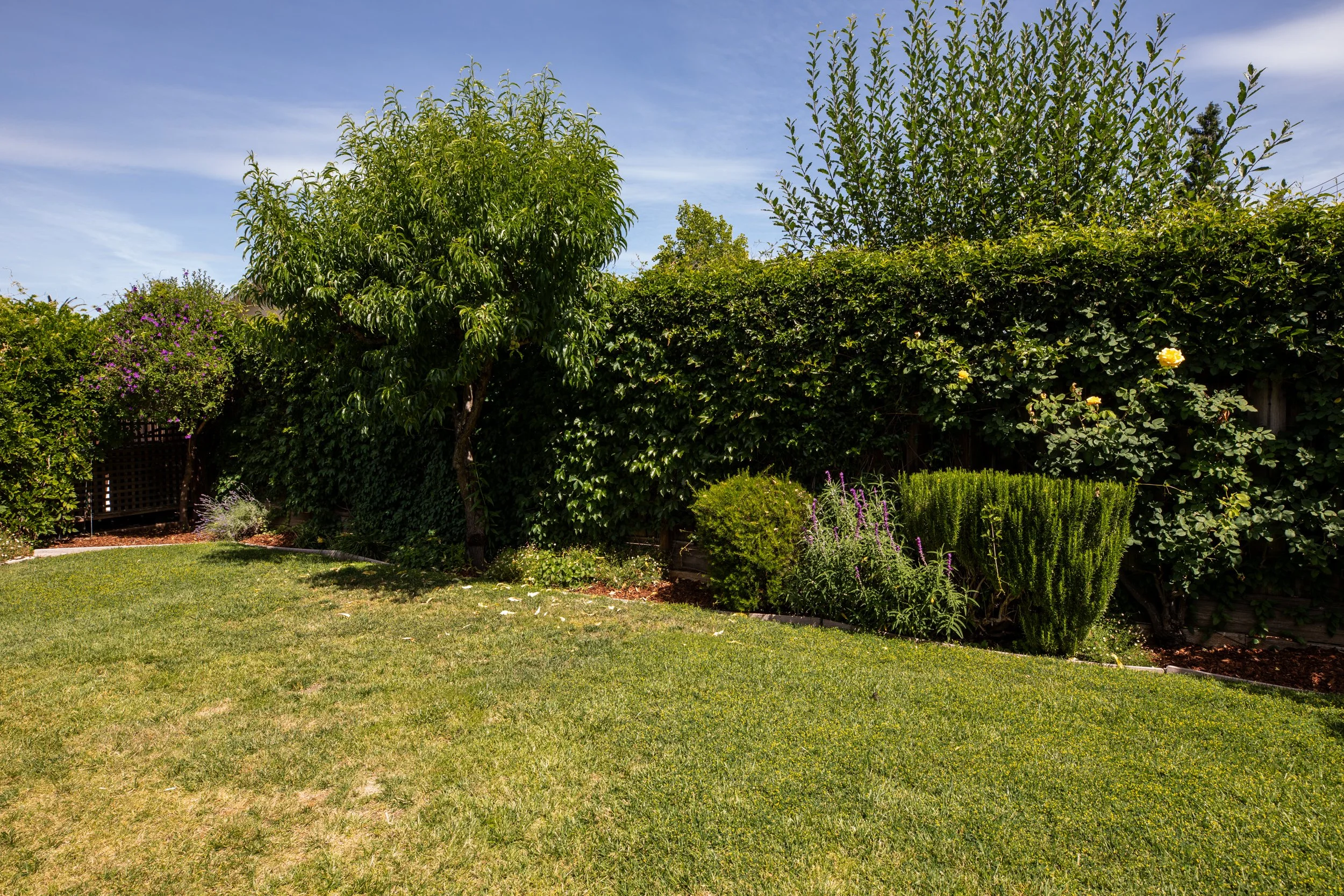 29-Carol_Matt_Anello-4991-MLS.jpg