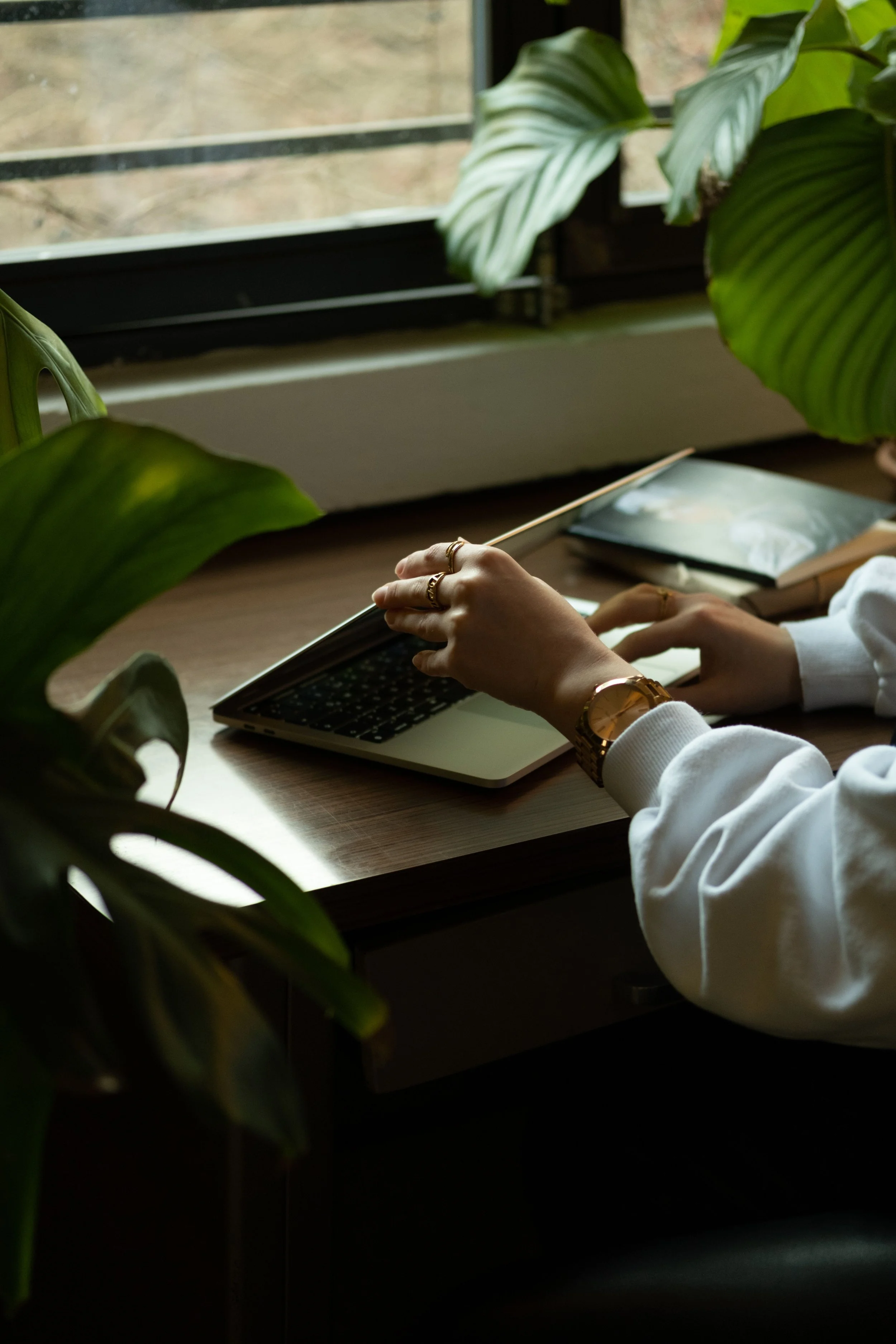 Person wearing white long-sleeve shirt and gold jewelry using a laptop at a wooden desk, surrounded by green houseplants near a window.