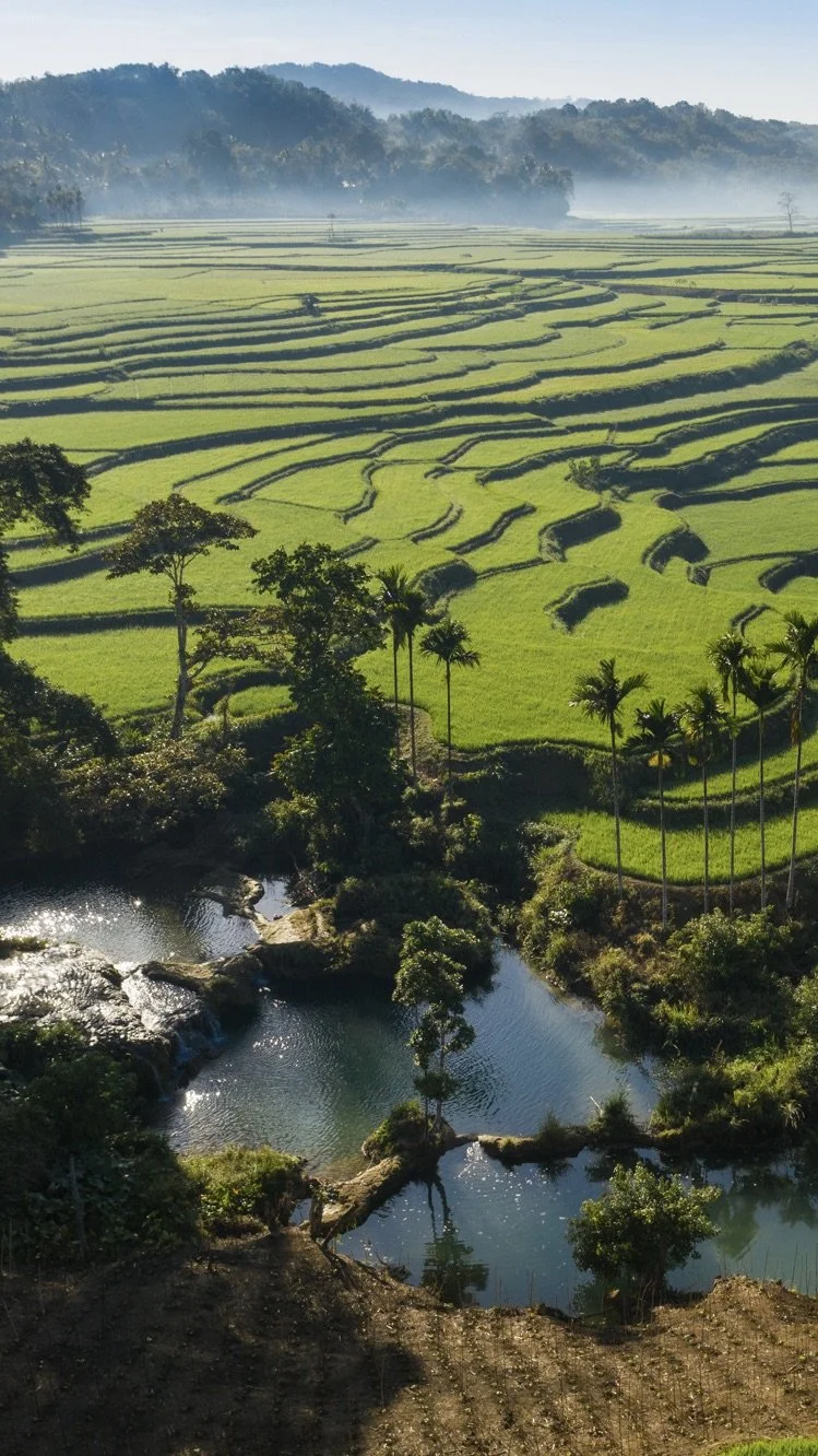 The Rise of Agritourism