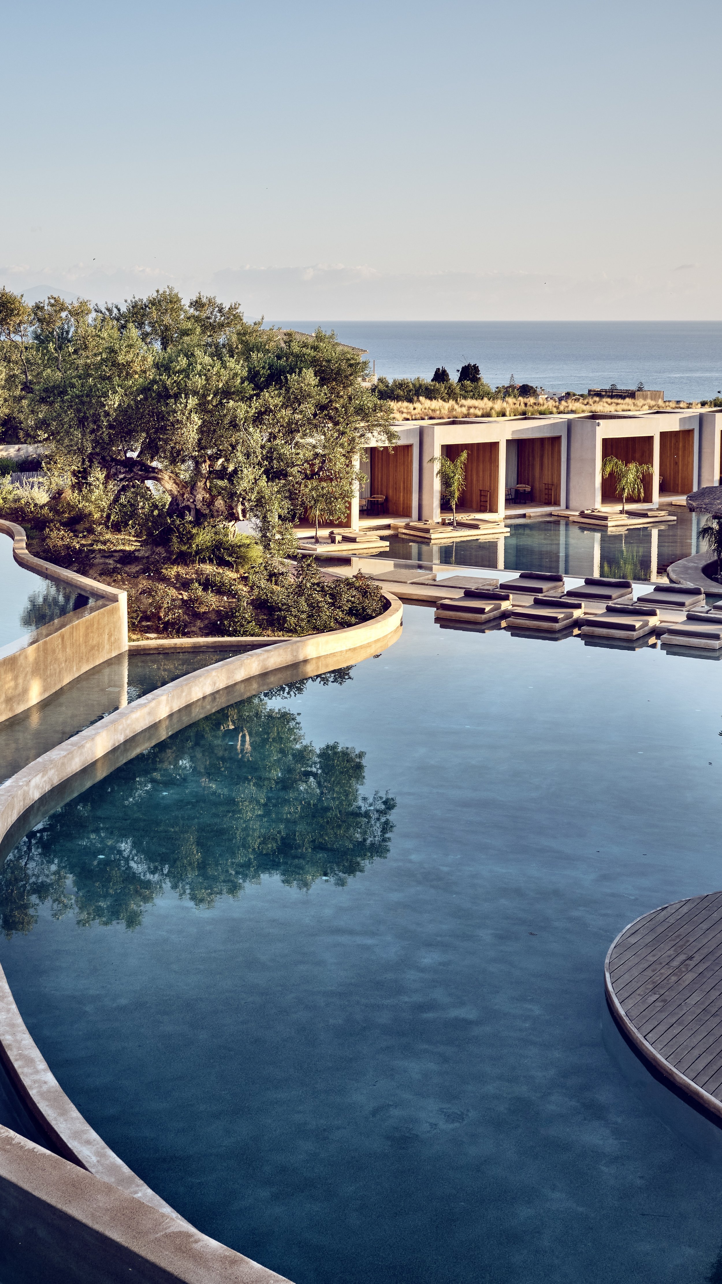 Olea (Zakynthos, Greece)