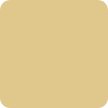 Blank beige square background