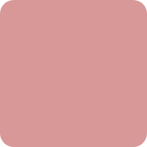 Solid pink background with rounded corners.