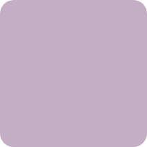 A plain light purple background