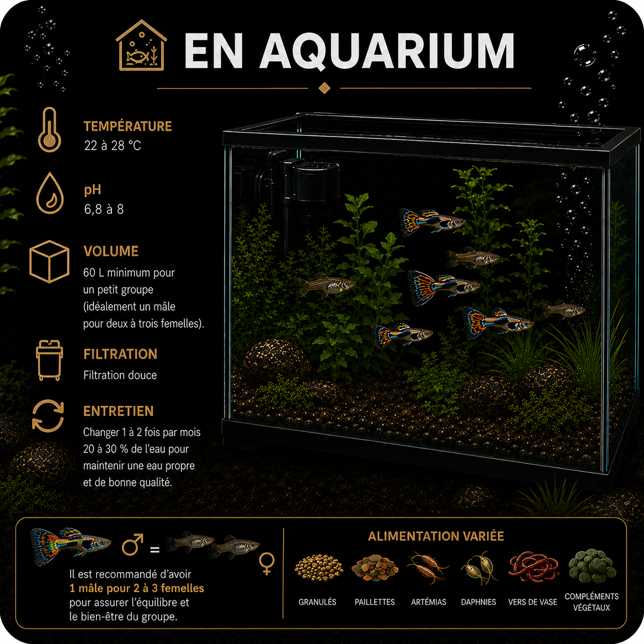 ChatGPT Image 12 juil. 2026, 16_25_06.png