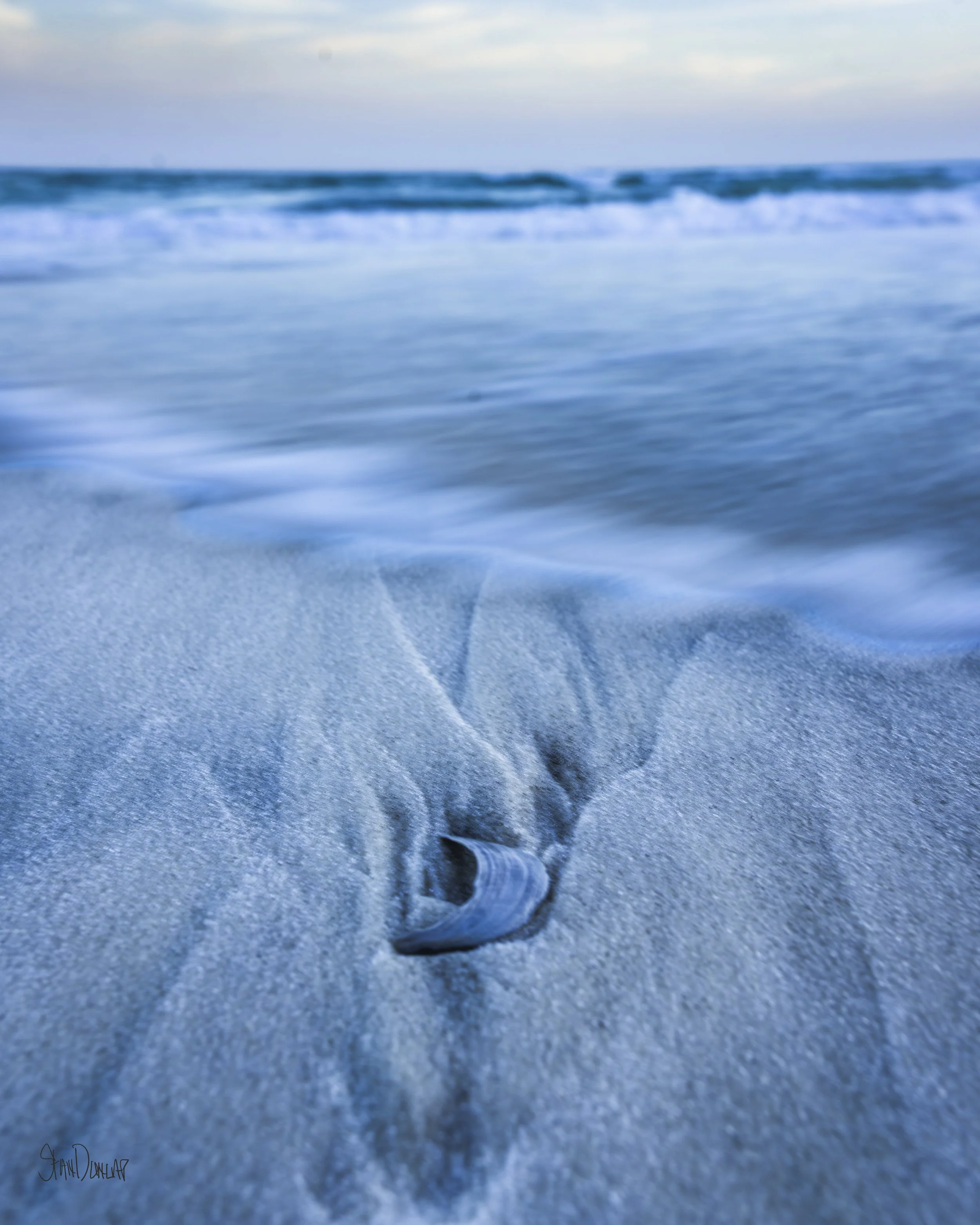 A broken seashell rests in wet sand as ocean waves flow around it.