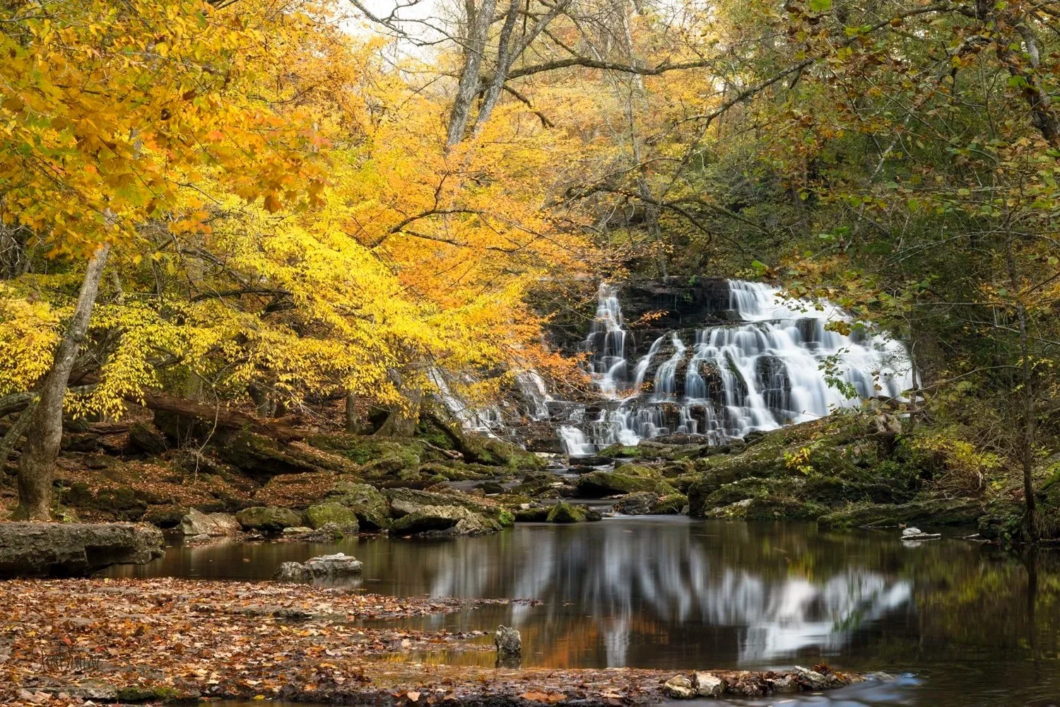 Rutledge Falls in Tennessee reflecting in a pool with trees in fall full of yellow and orange leaves