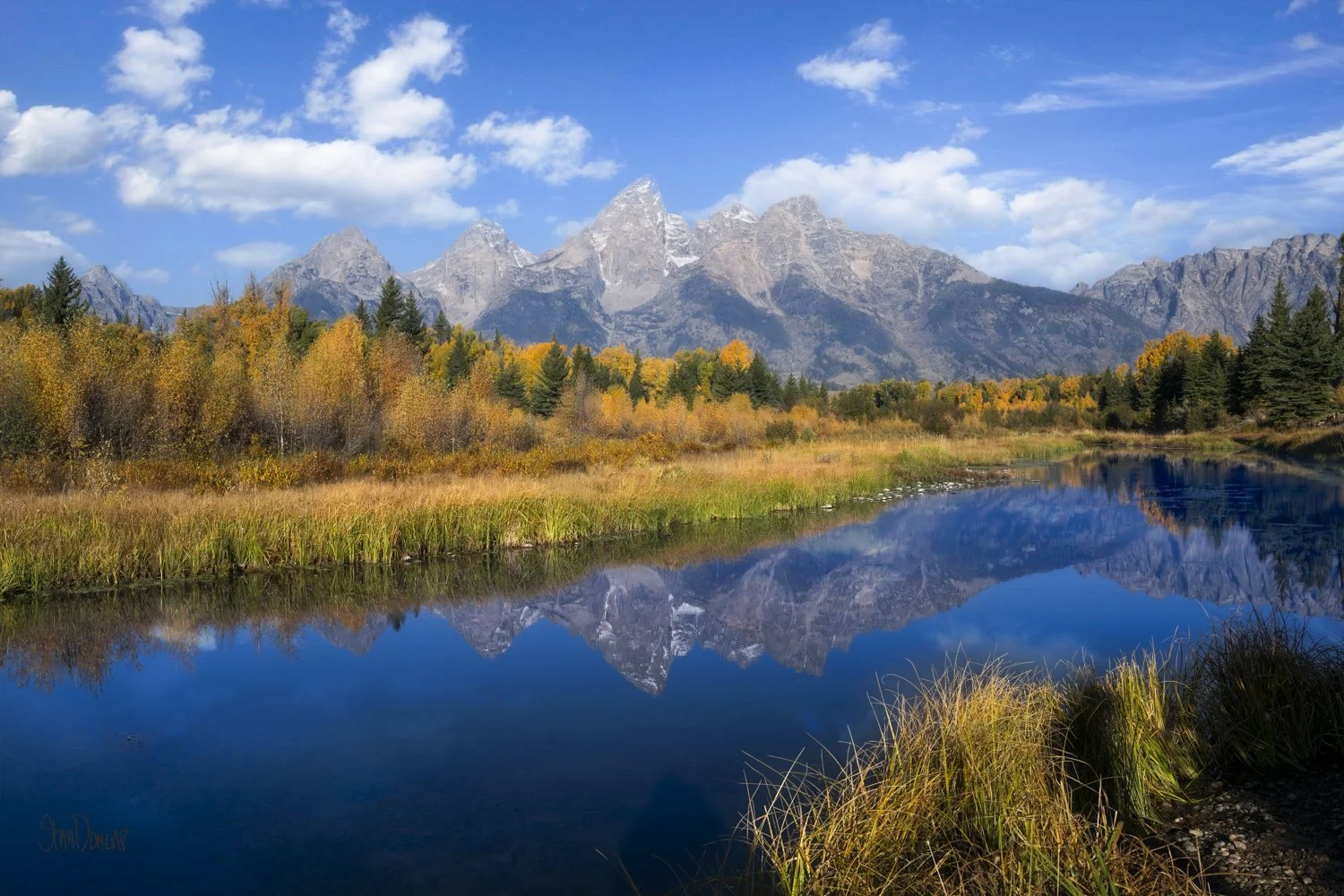 The Teton Mountains reflect in Jackson Lake beneath a bright blue autumn sky.