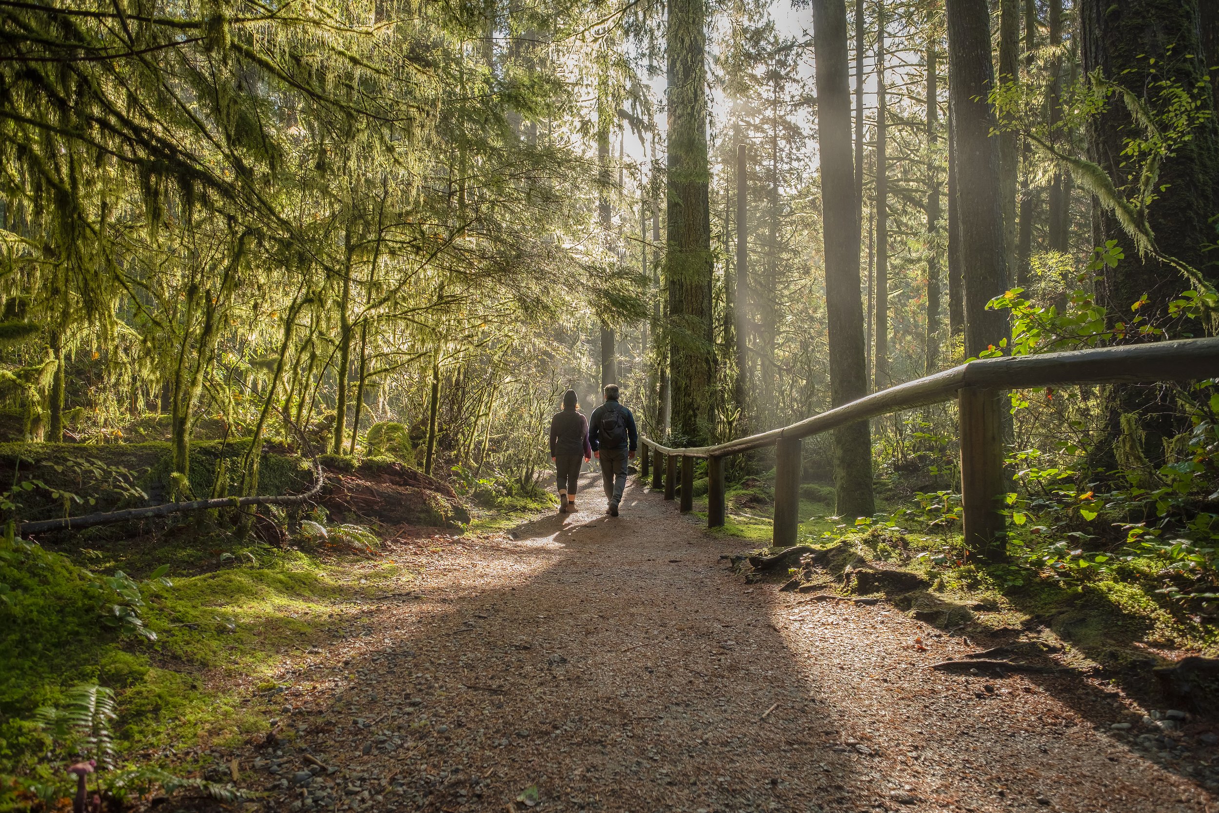 Two people walking through a lush forest on a dirt trail, sunlight filtering through tall trees with moss-covered branches.
