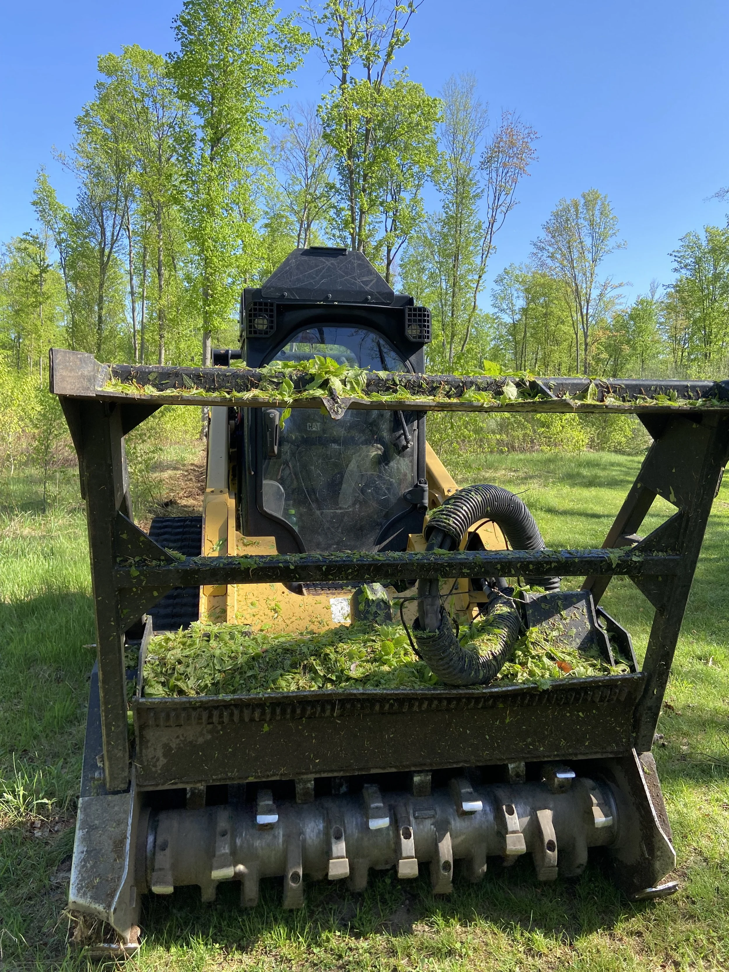 Forestry Mulching