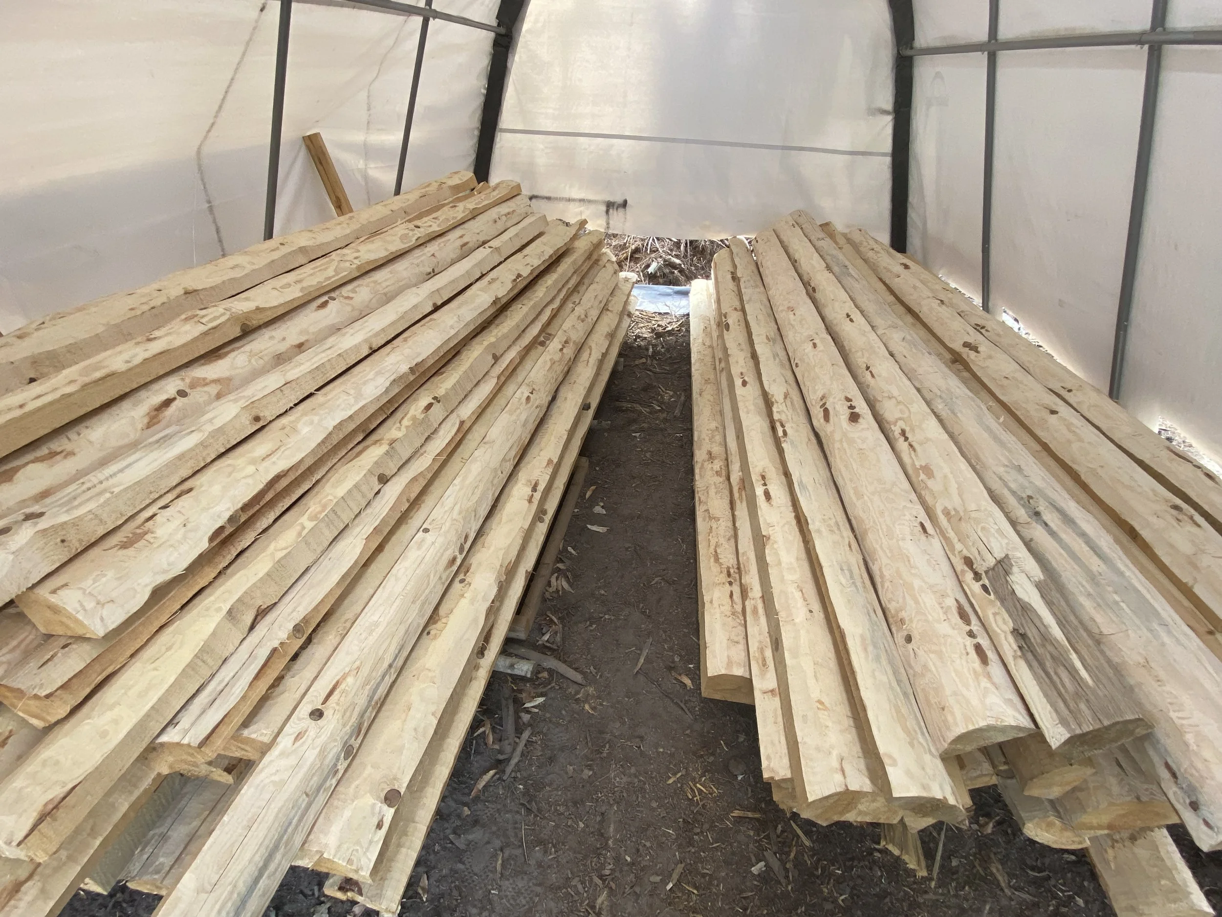 Red Pine logs and siding