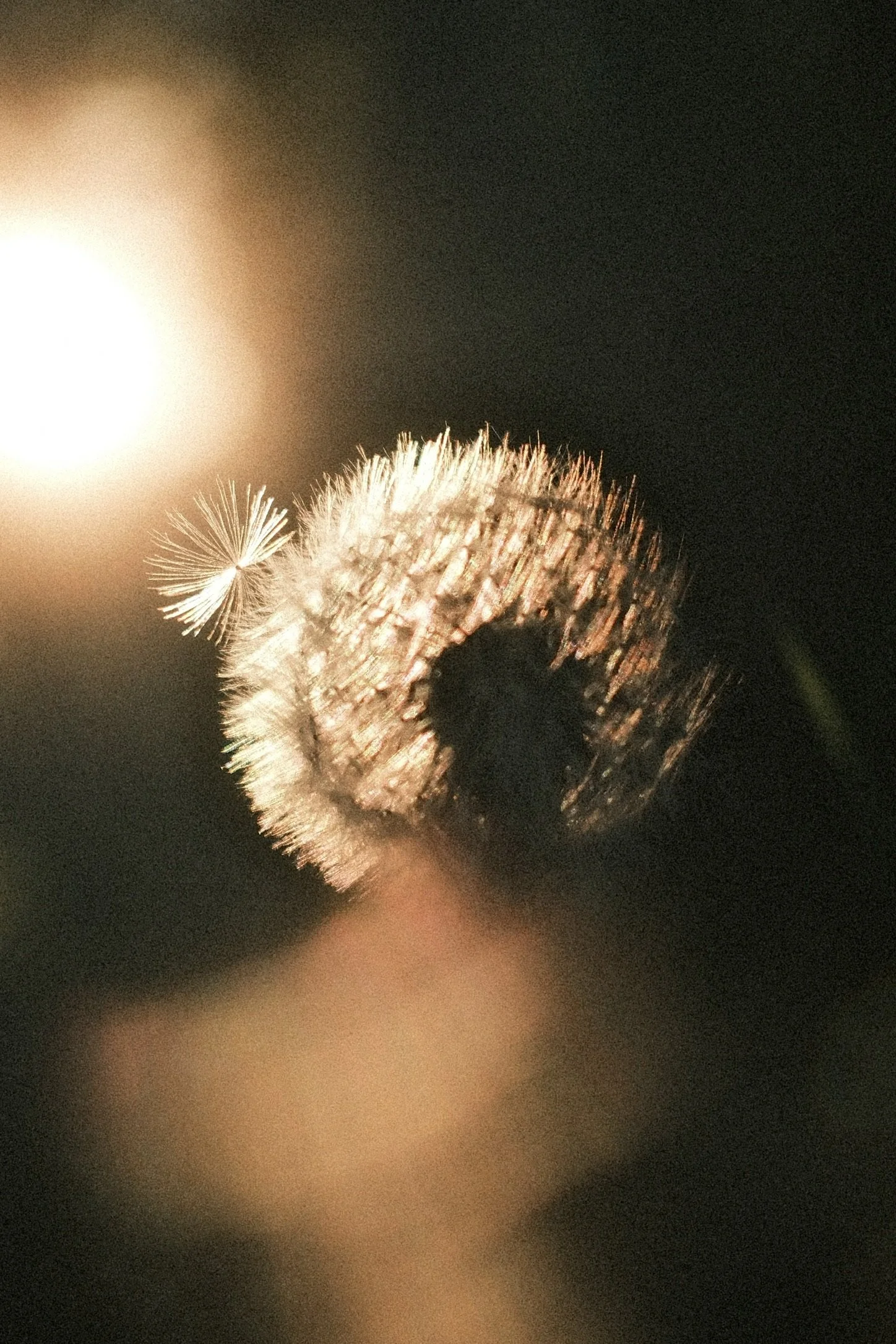 B66F6763-3DAC-463C-99DA-3ECEBF03D8C3_1_102_a.jpeg