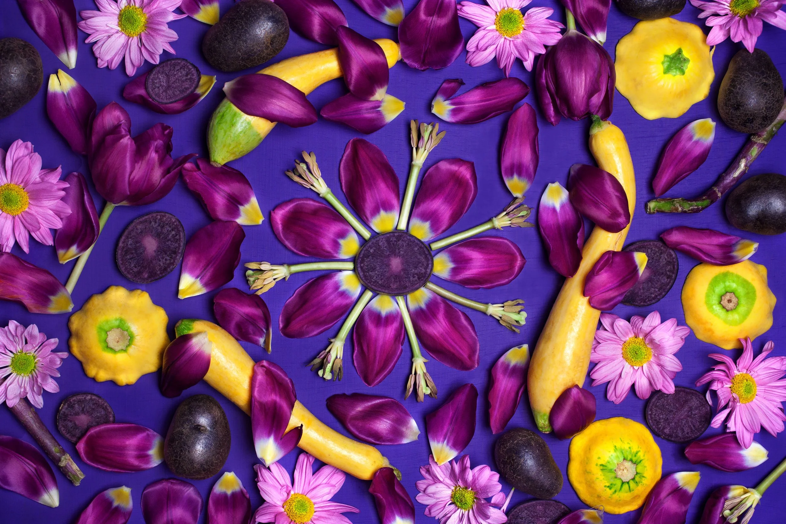 Colorful flat lay of purple flower petals, pink daisies, yellow squash, dark purple potatoes, and vegetable blossoms on a blue-purple background