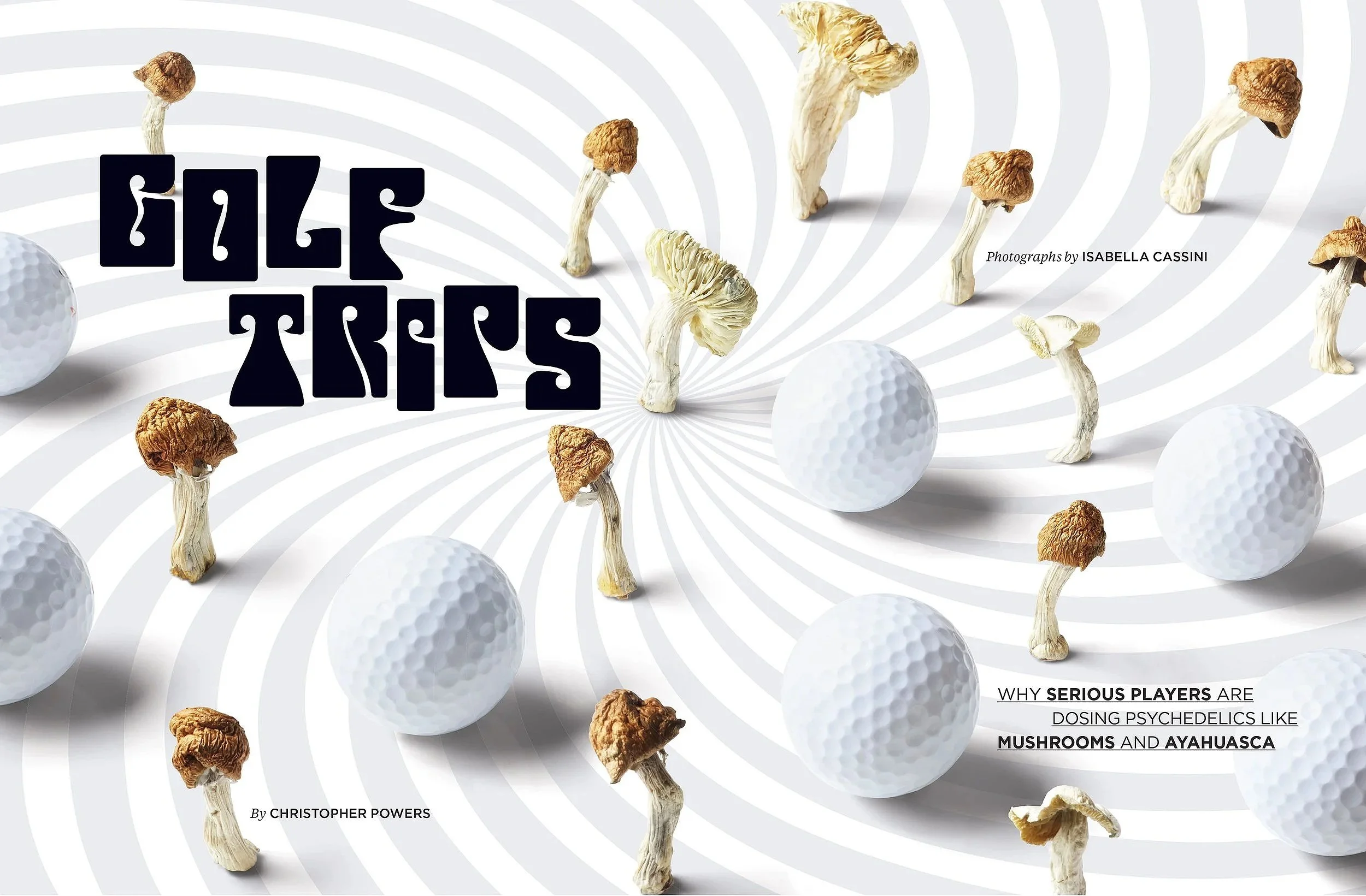 GD1023_FEAT_MUSHROOM_SPREAD1.jpg