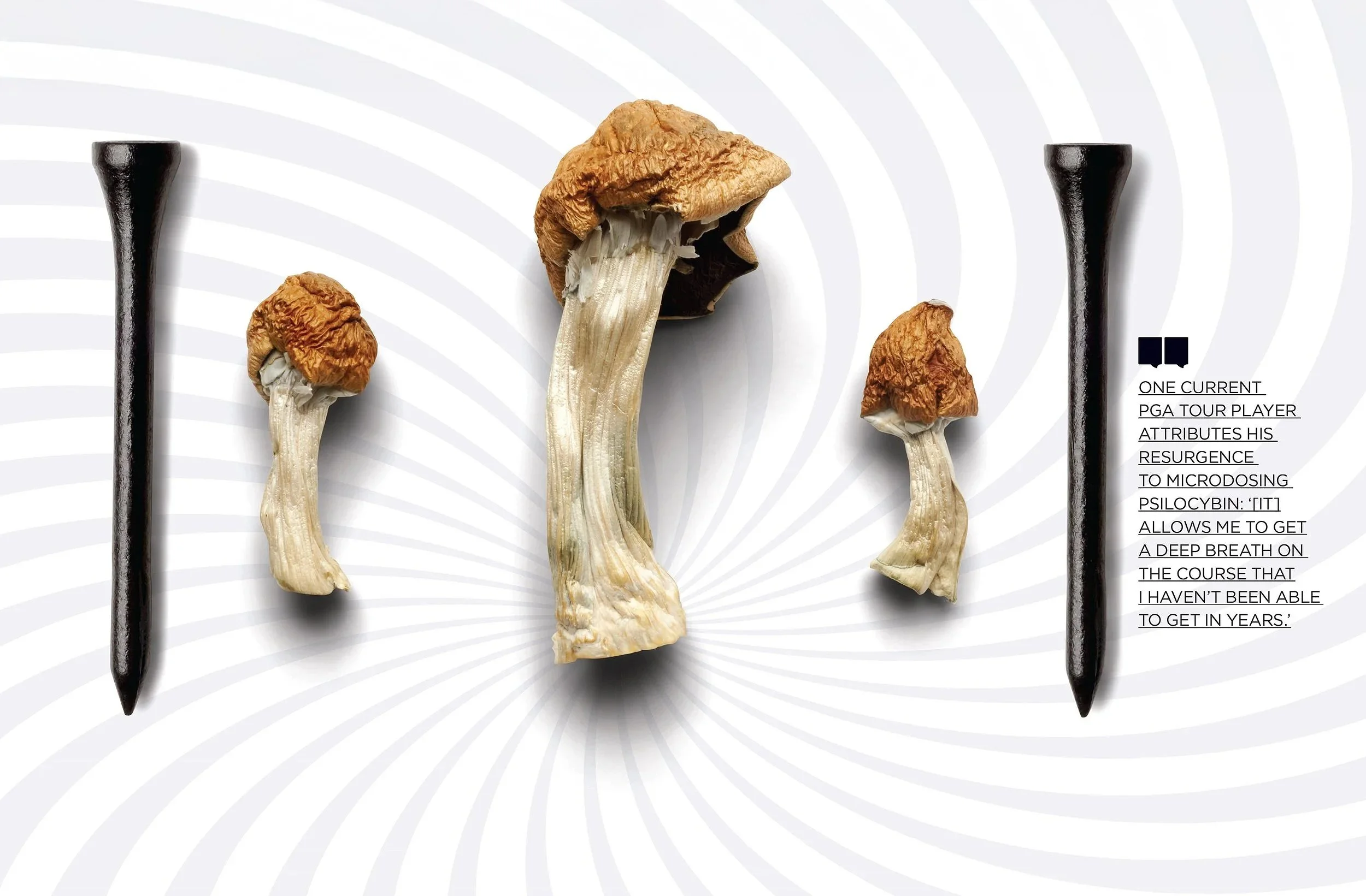 GD1023_FEAT_MUSHROOM_SPREAD2.jpg