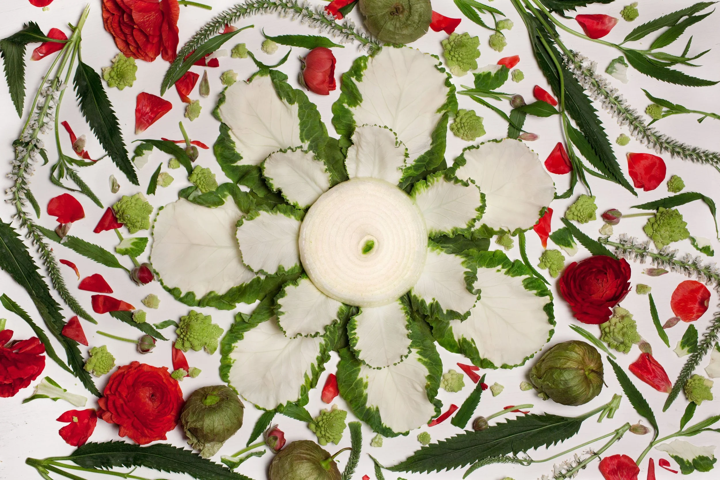 Overhead kaleidoscope arrangement of cabbage leaves, sliced onion, red flowers, rose petals, tomatillos, Romanesco broccoli, and herbs on a white background