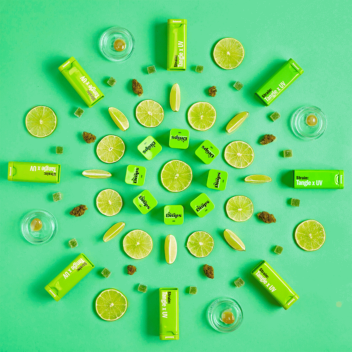 LIme_StopMotionNew_2026_formated_gif3.gif