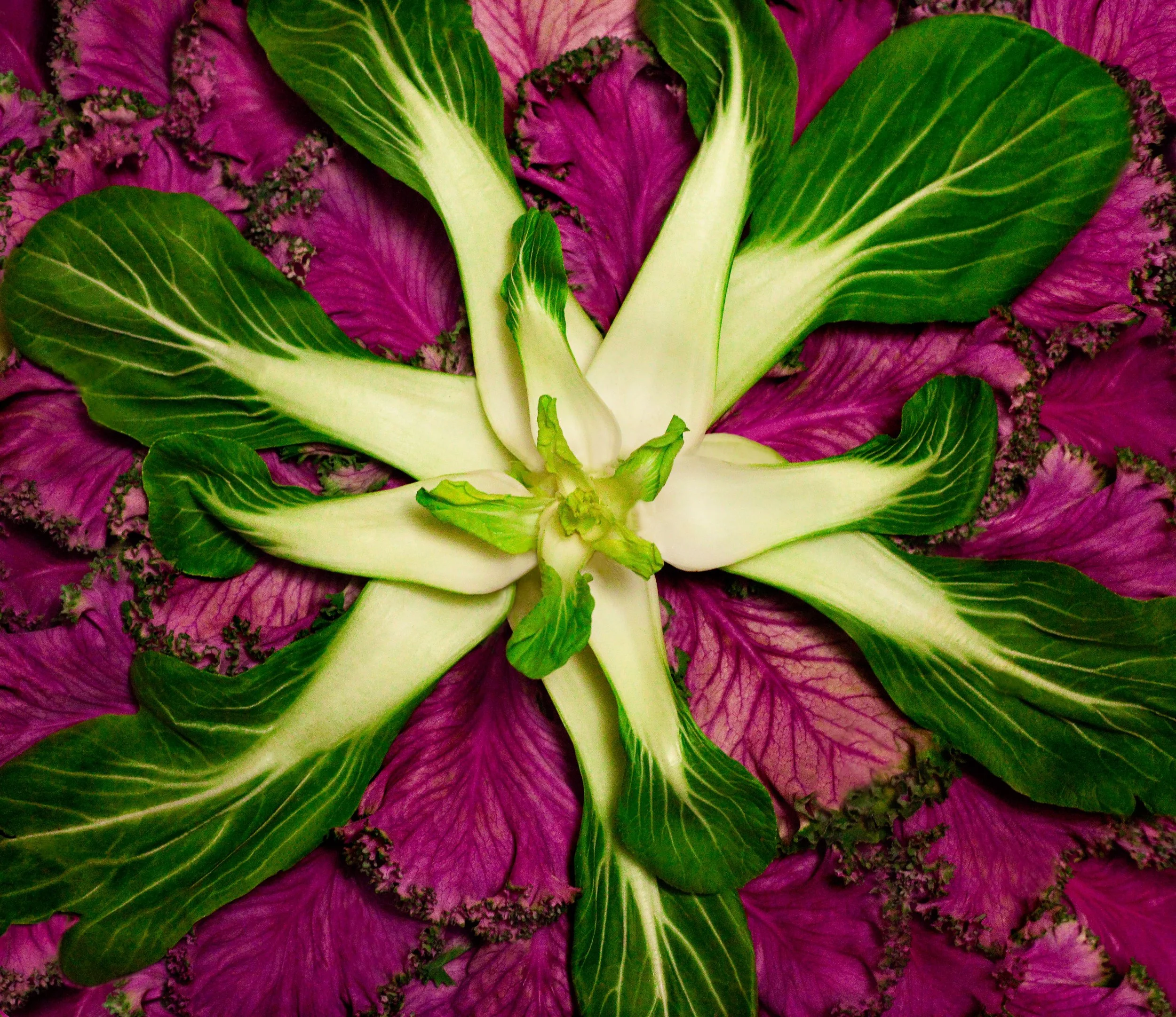 IMG_8020_.jpg