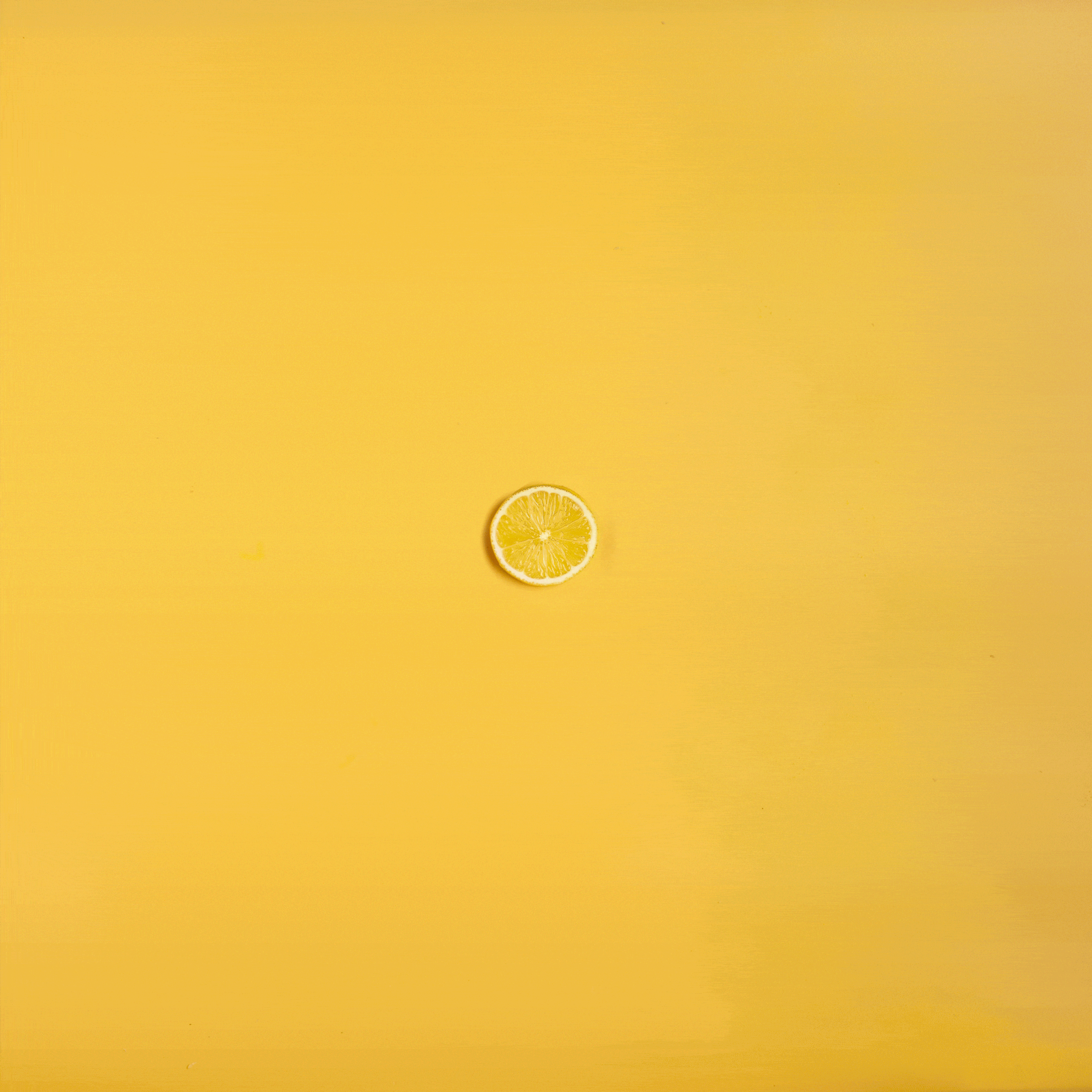 Lemon _Layers_InOut _resized2026.gif